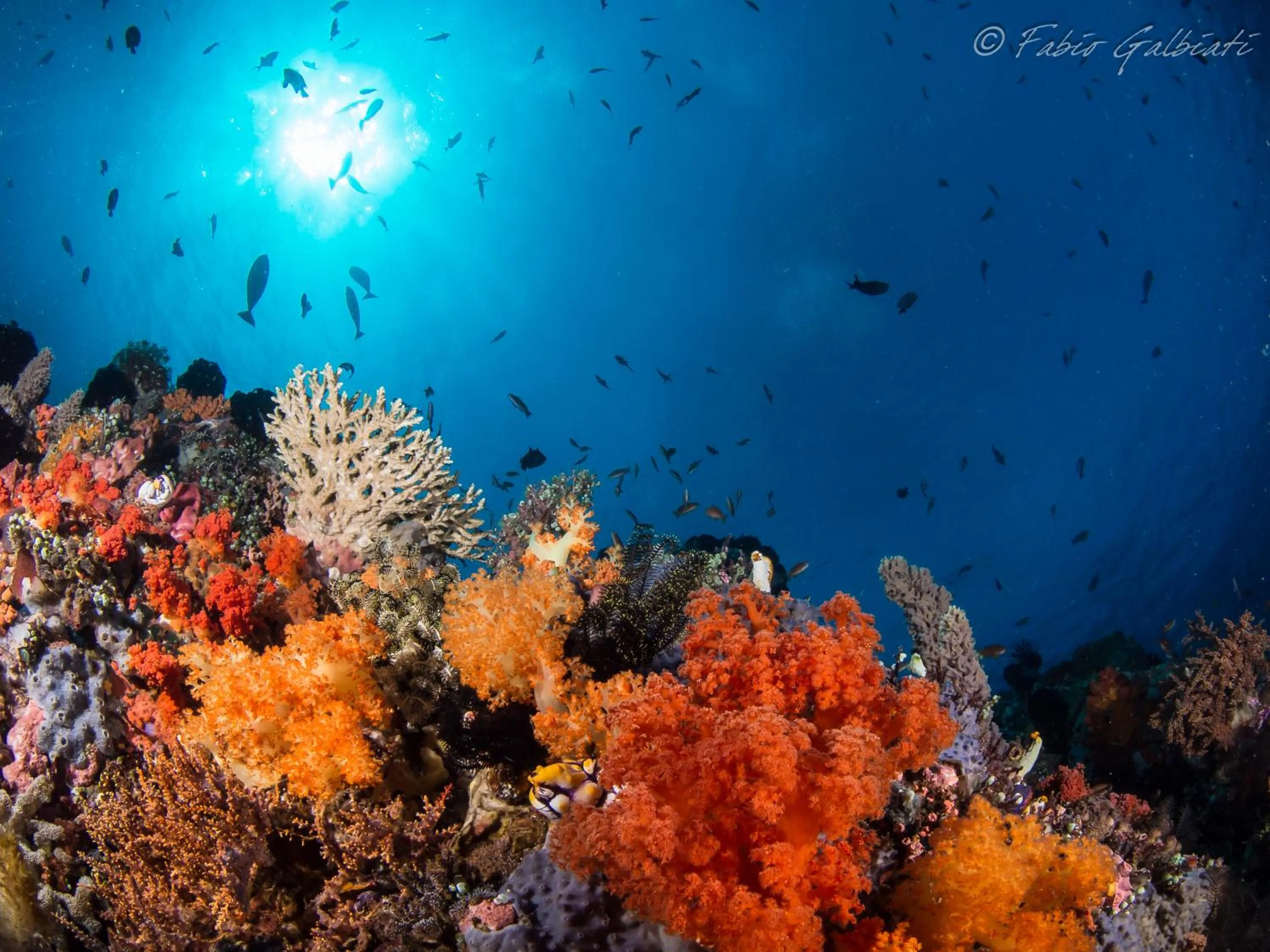 Sports in Coral Eye Boutique Resort and Marine Outpost