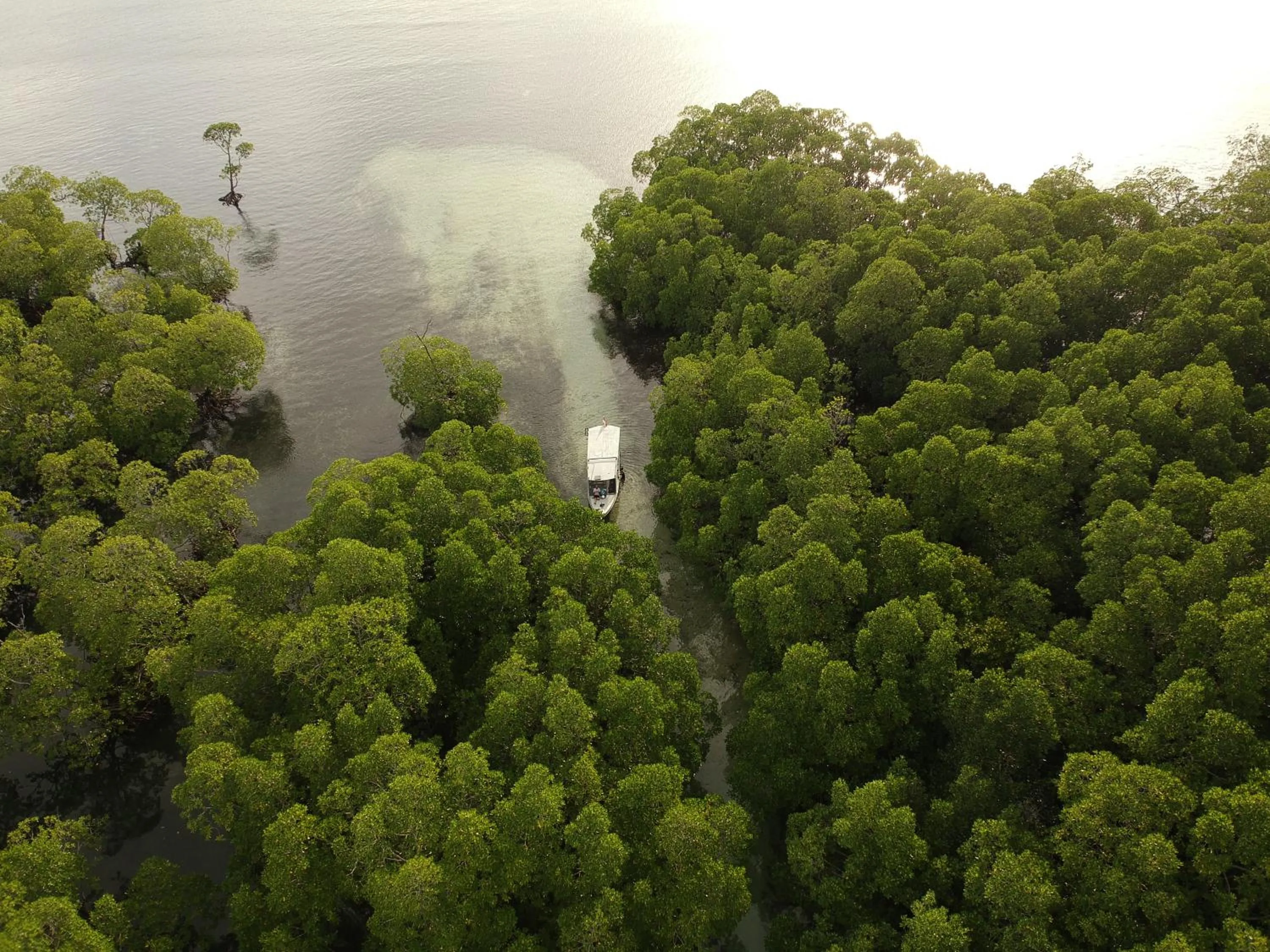 Coral Eye Boutique Resort and Marine Outpost