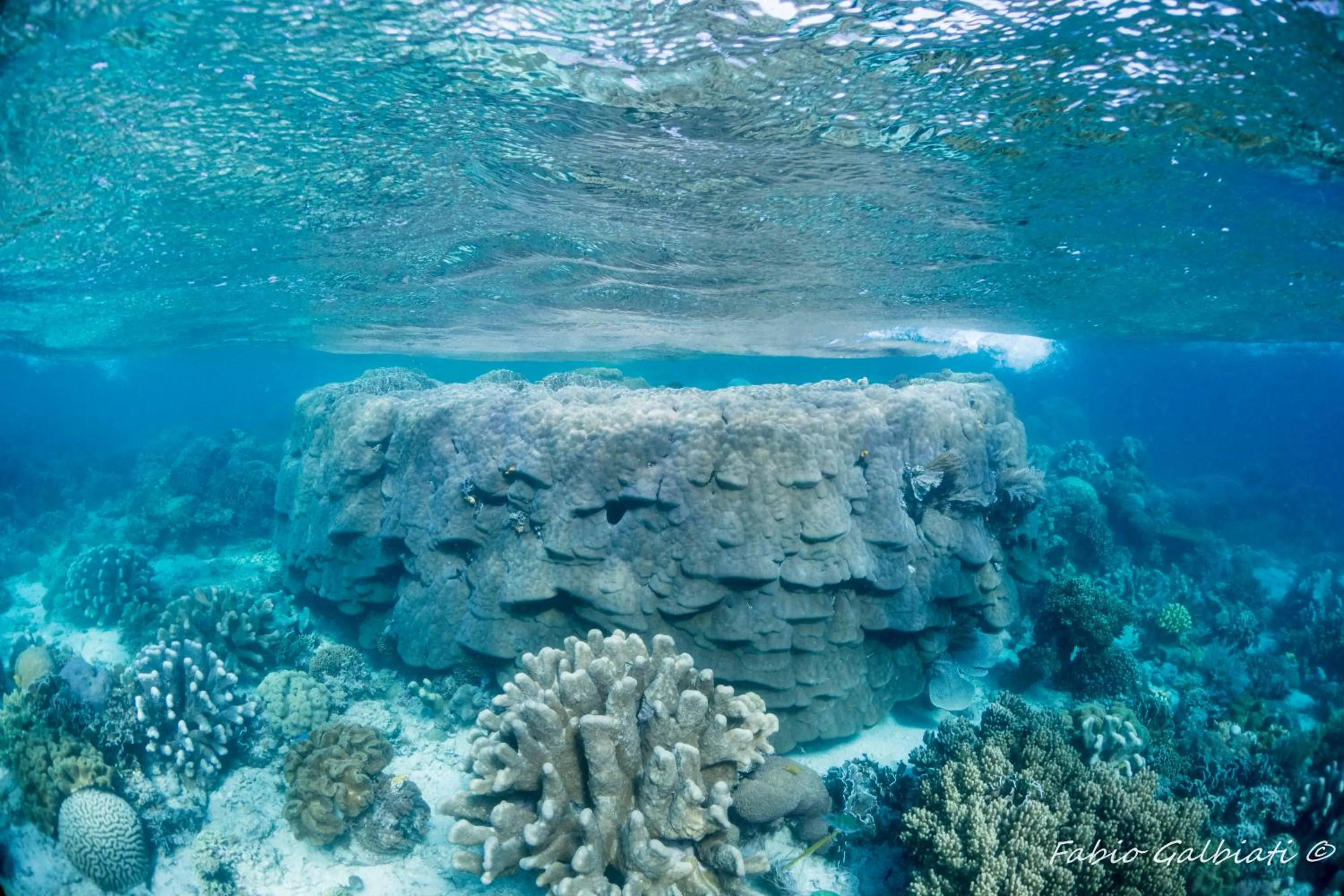 Sports in Coral Eye Boutique Resort and Marine Outpost