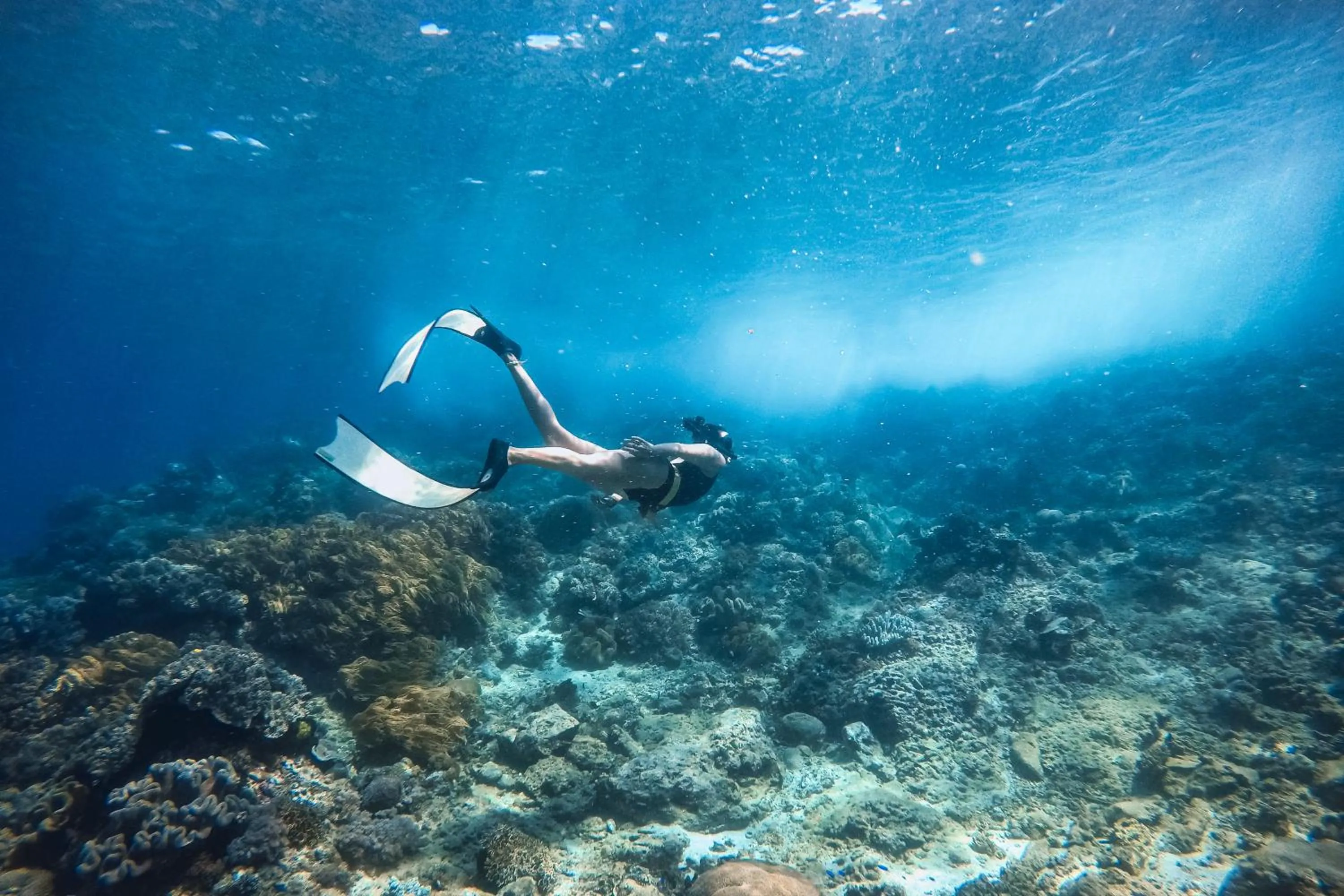 Activities in Coral Eye Boutique Resort and Marine Outpost