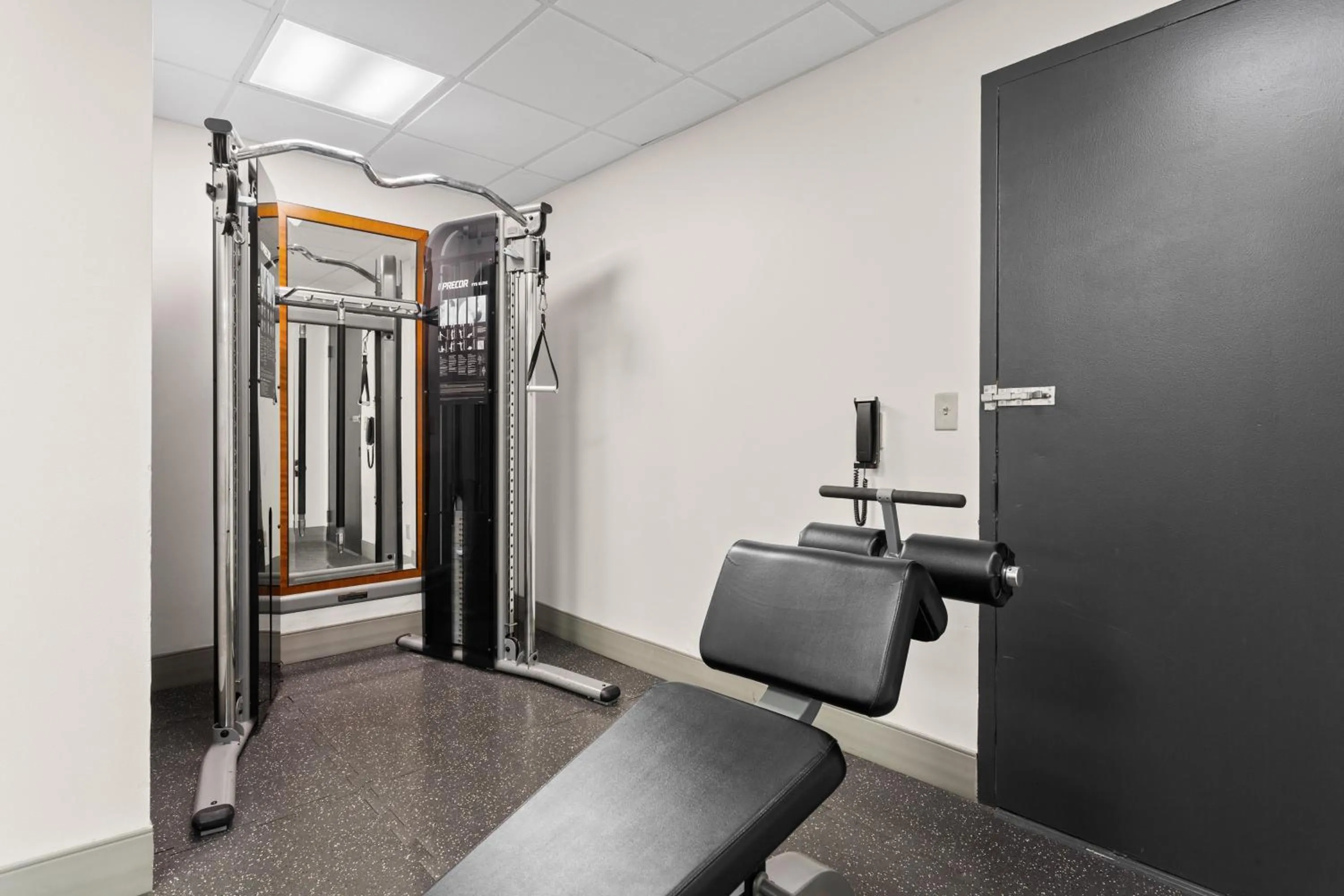 Fitness centre/facilities in Holiday Inn Tampa Westshore - Airport Area by IHG