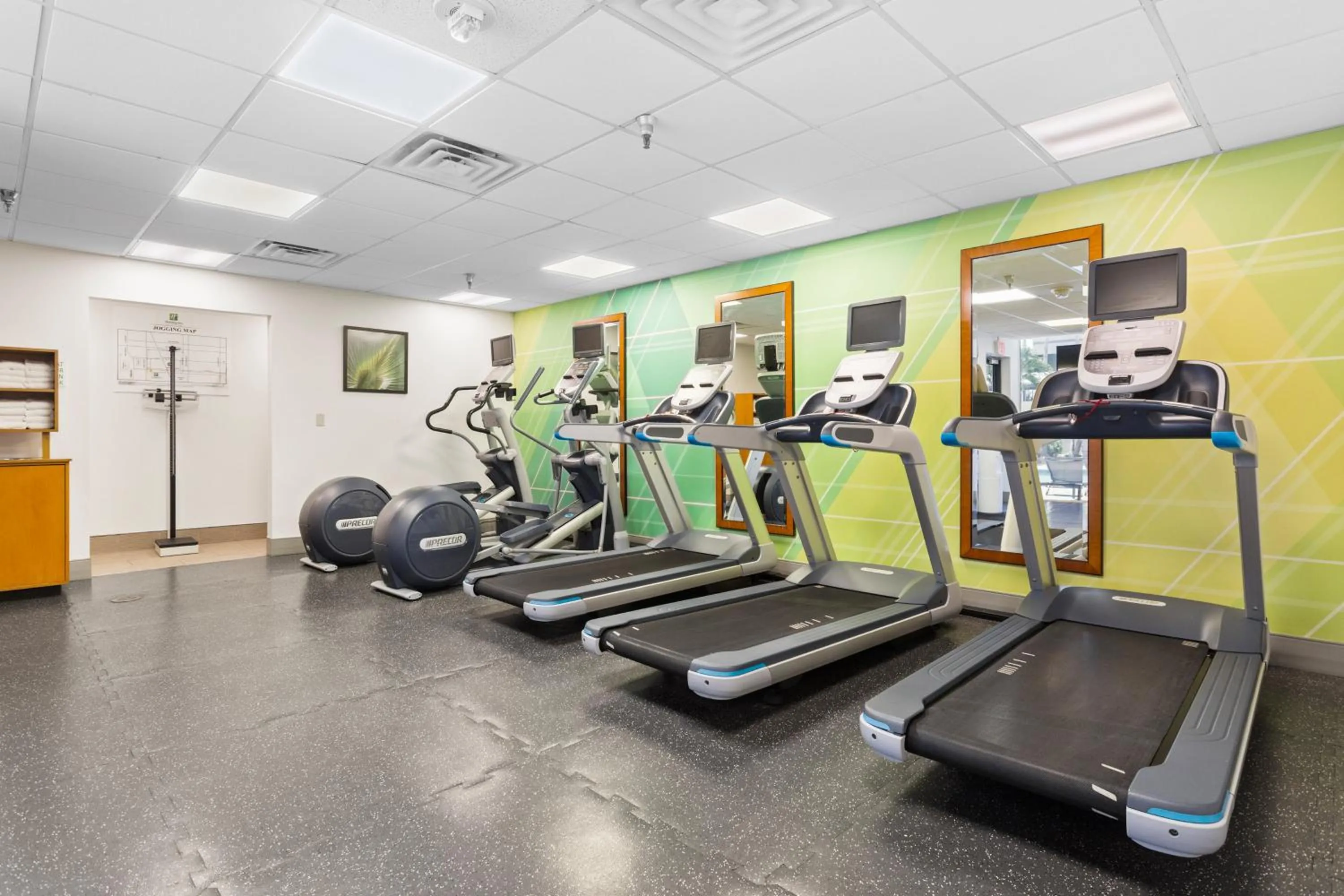 Fitness centre/facilities in Holiday Inn Tampa Westshore - Airport Area by IHG