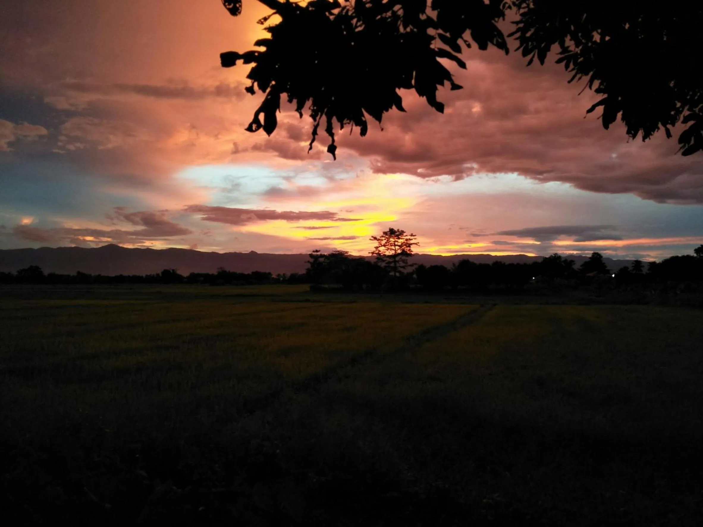 Natural landscape in Oui Kaew Homestay