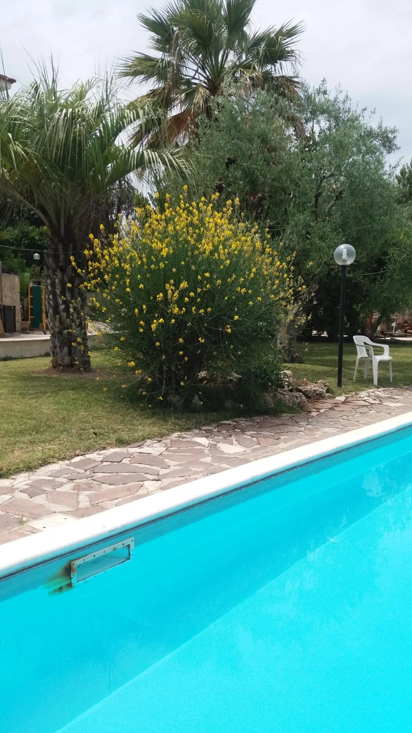 Pool view in La Ginestra