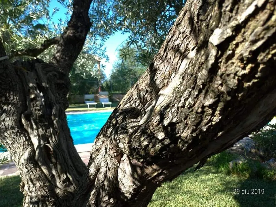 Garden in La Ginestra