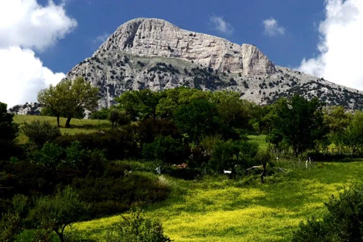 Natural landscape in Bed And Breakfast Delle Grotte