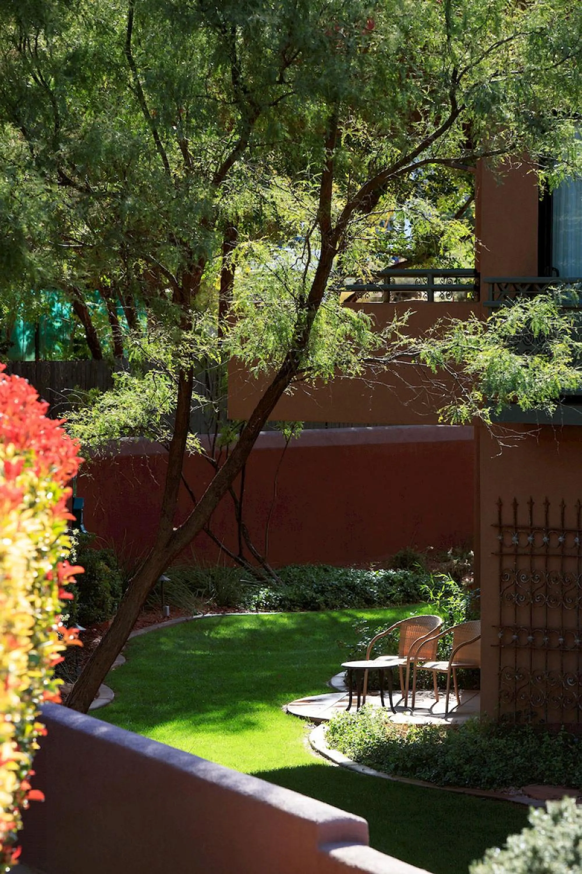 Garden in The Wilde Resort and Spa