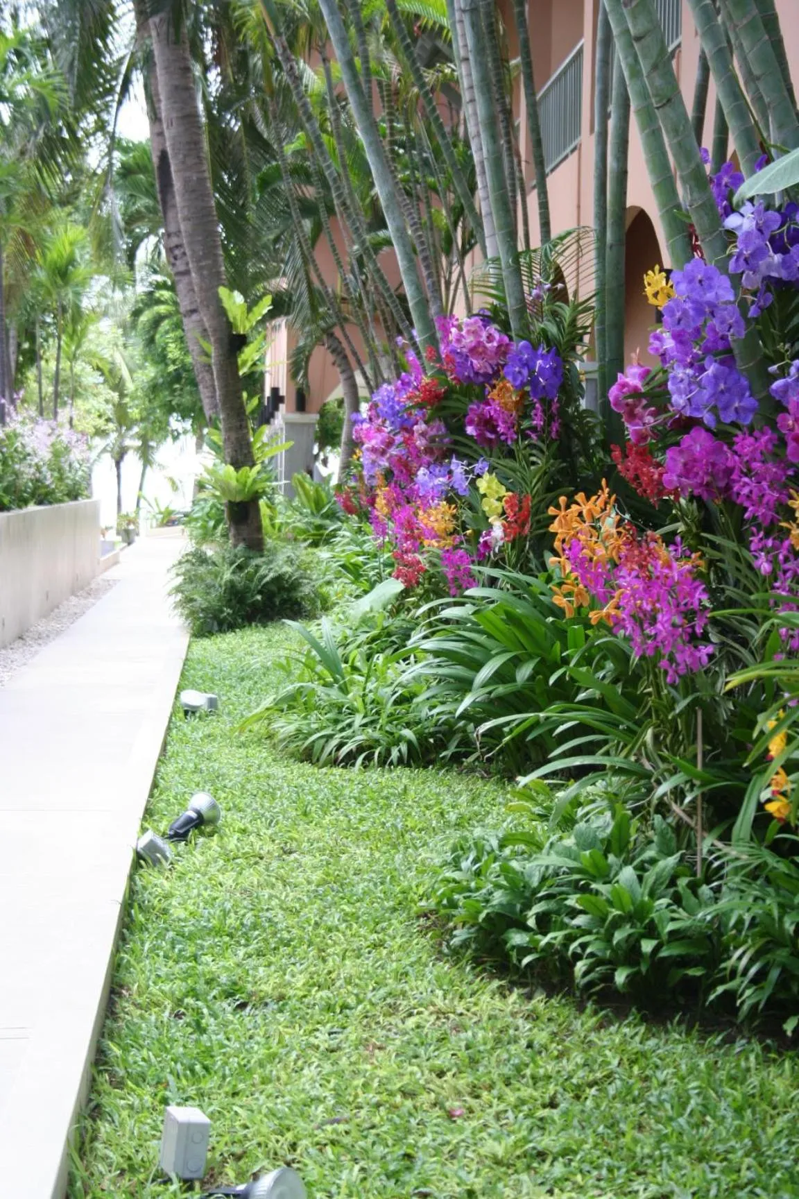 Garden in Anantasila Beach Resort Hua Hin