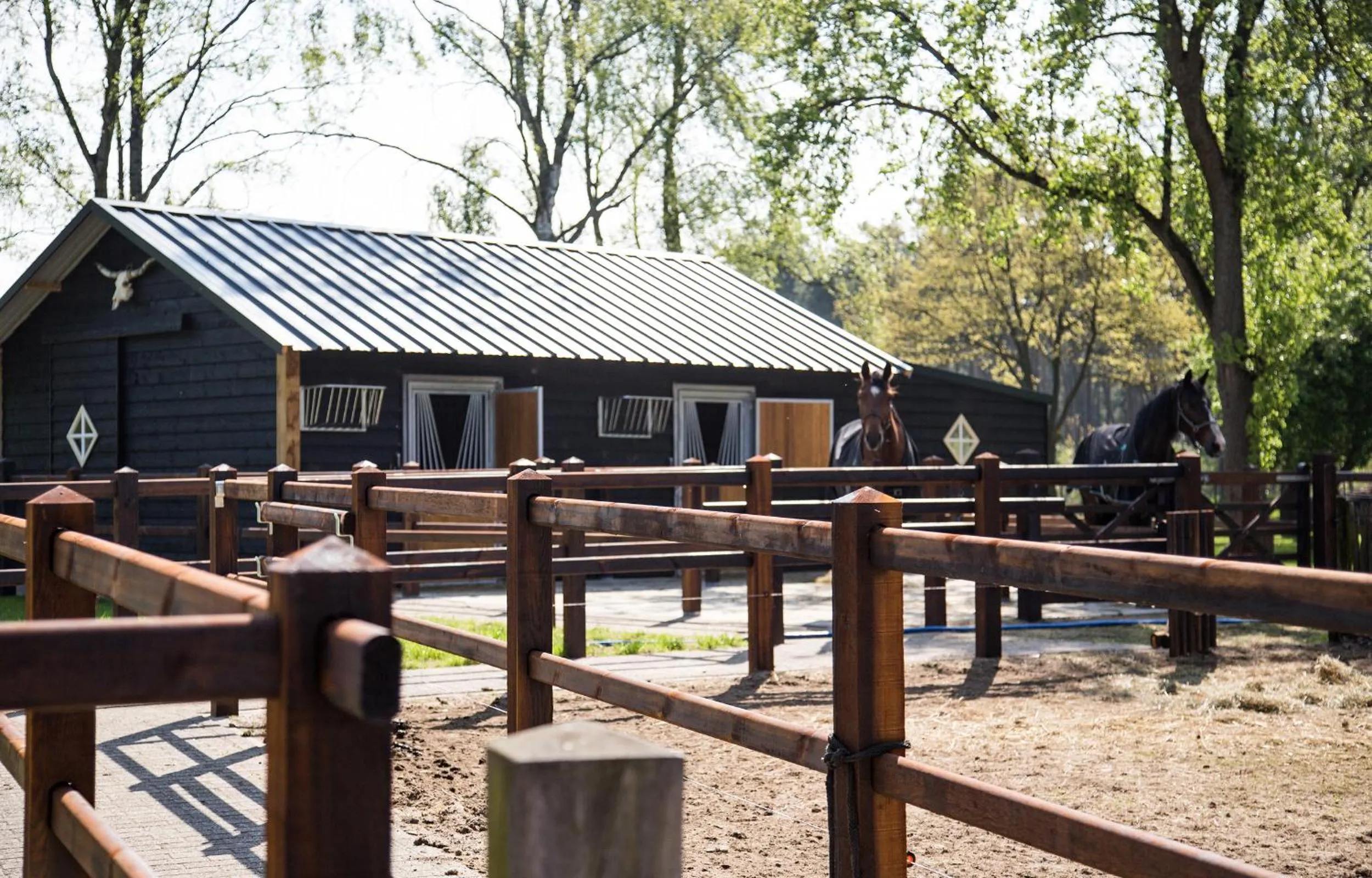 Natural landscape in De Verloren Sinjoor