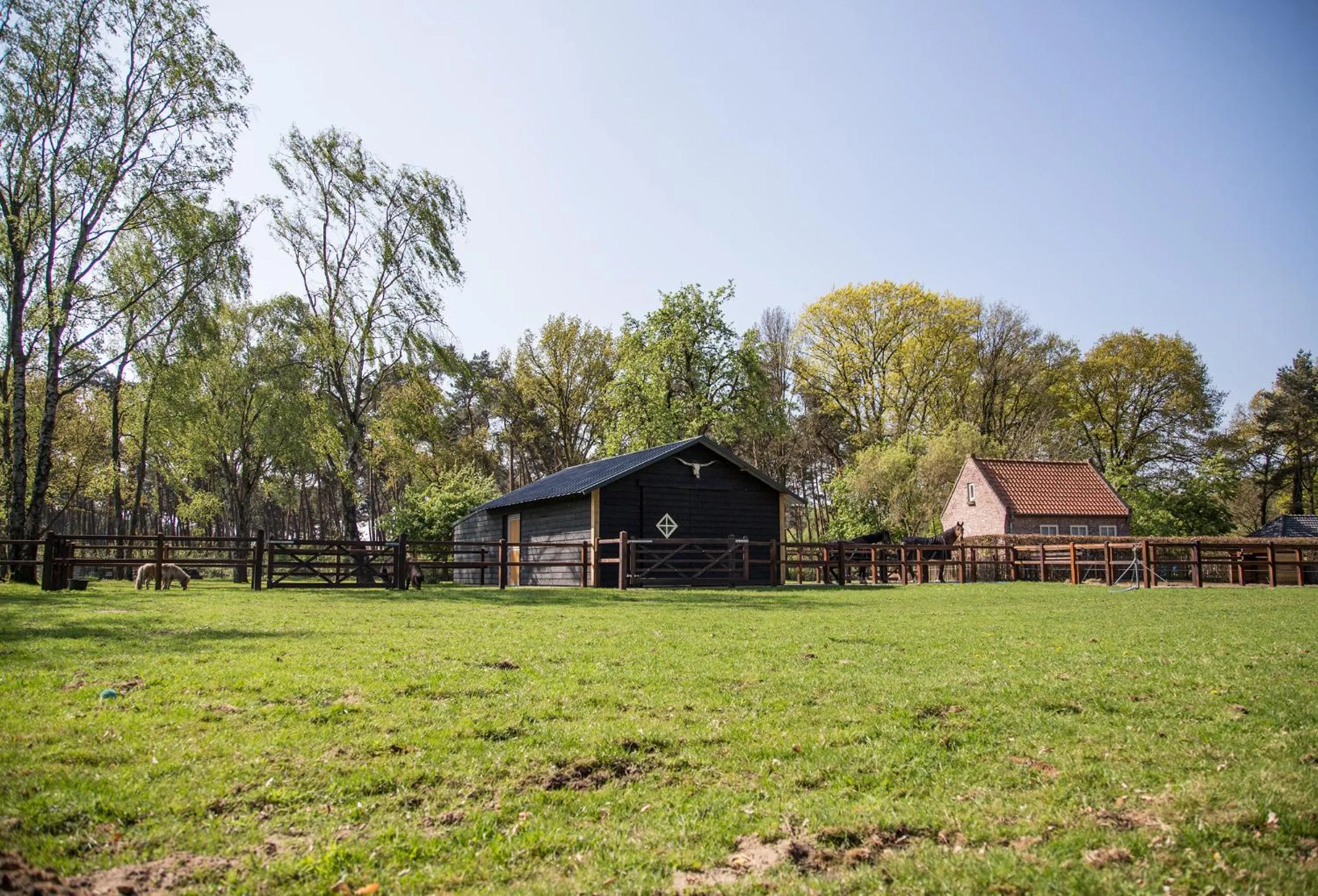 Natural landscape in De Verloren Sinjoor