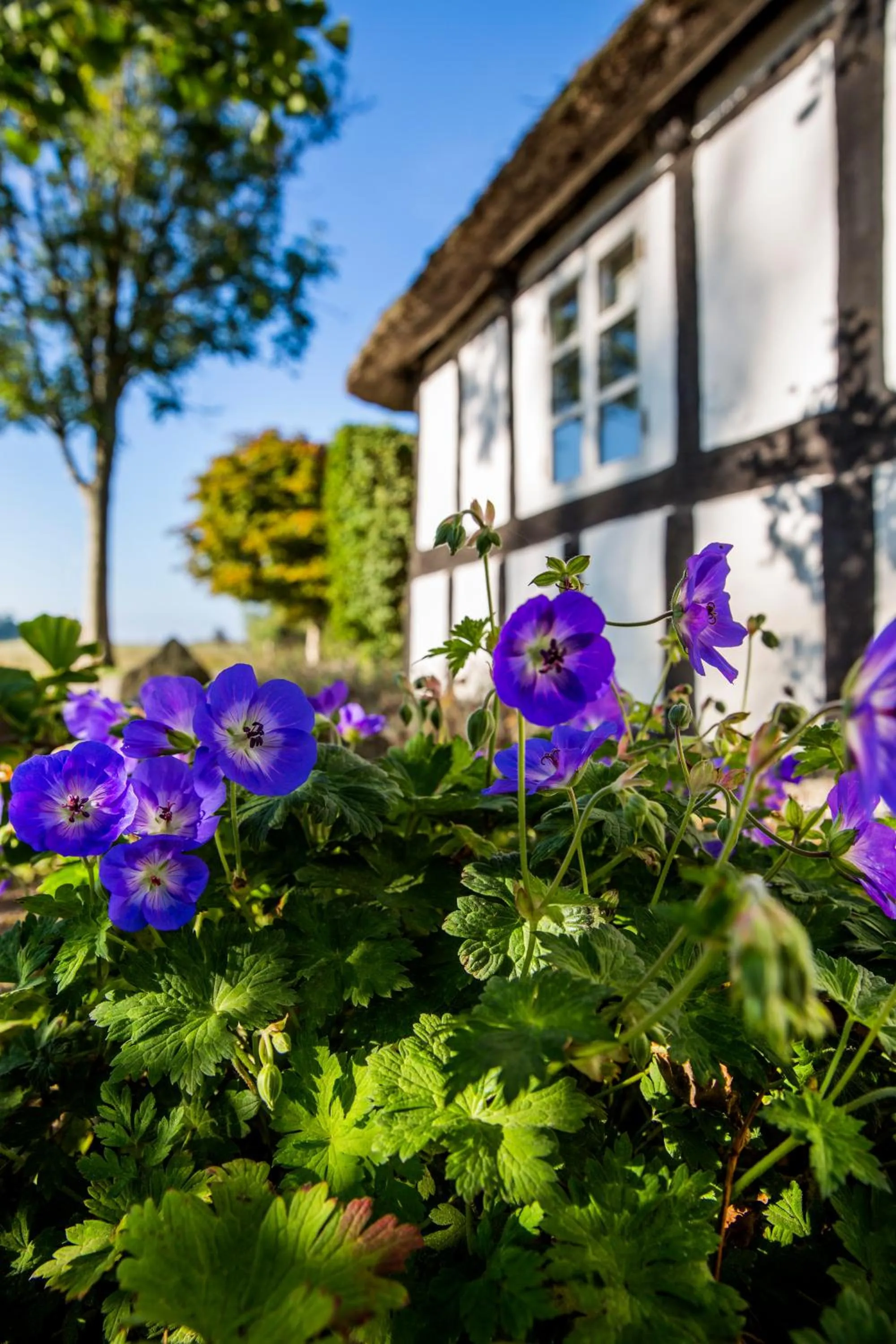 Facade/entrance in Gl. Brydegaard