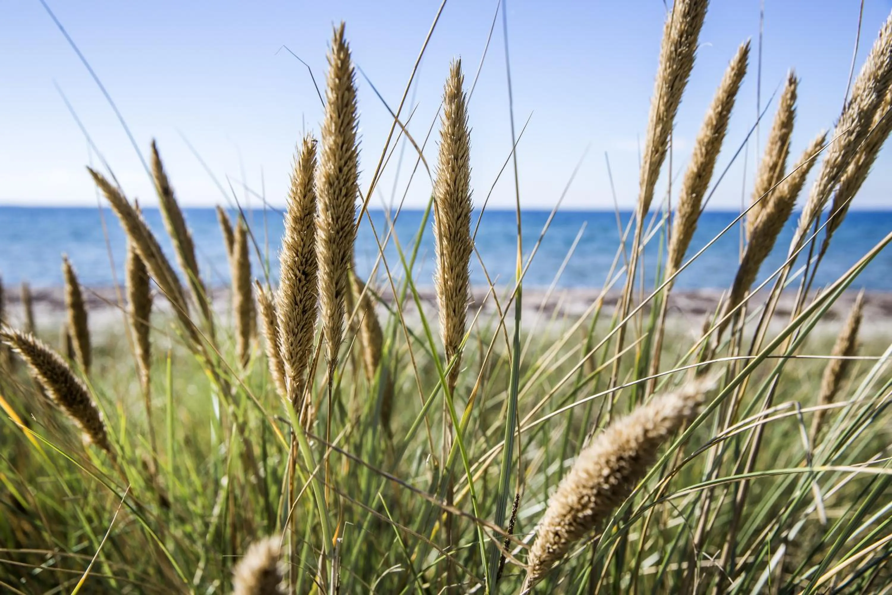 Other in Gl. Brydegaard