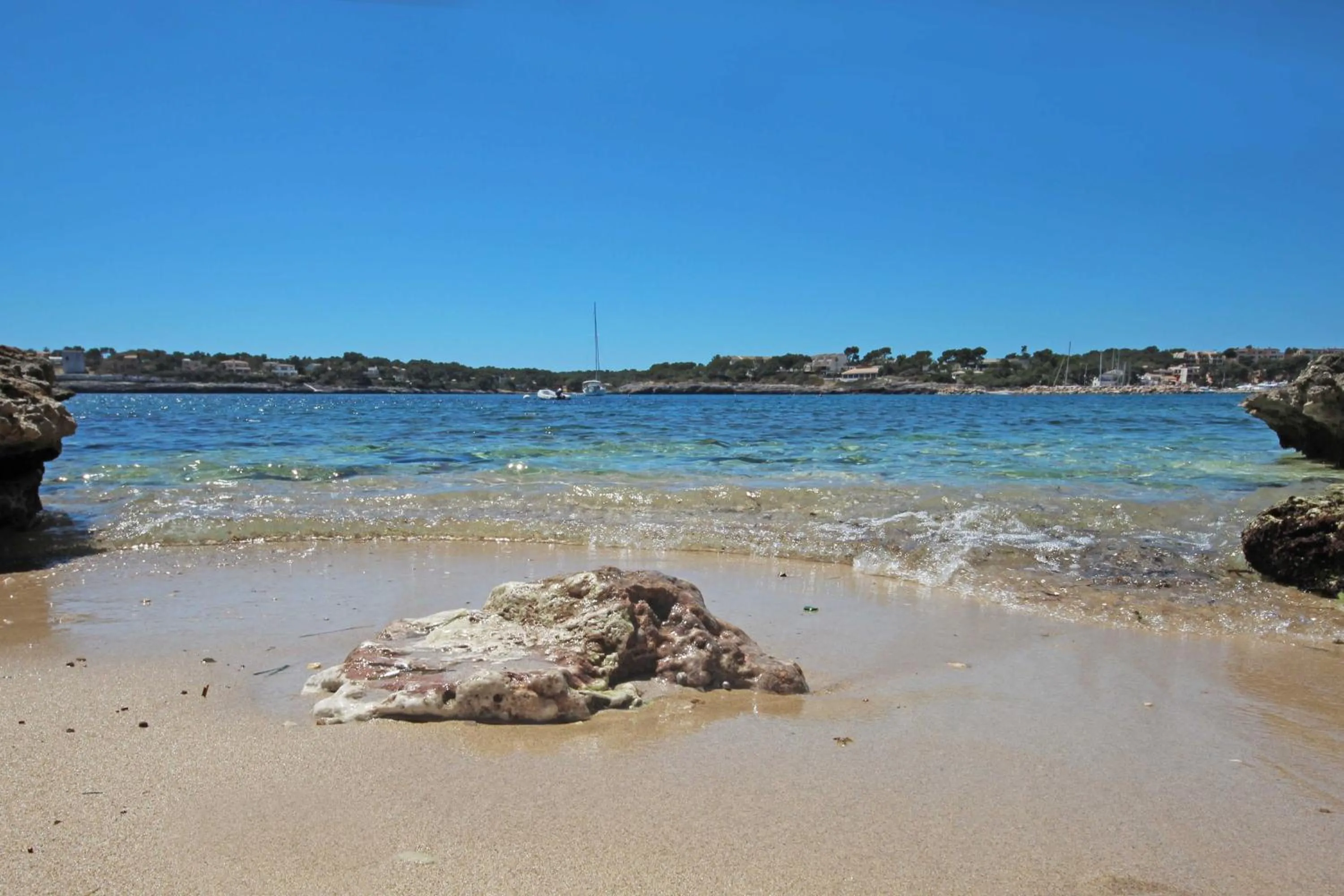 Natural landscape in Aparthotel Niu d´Aus