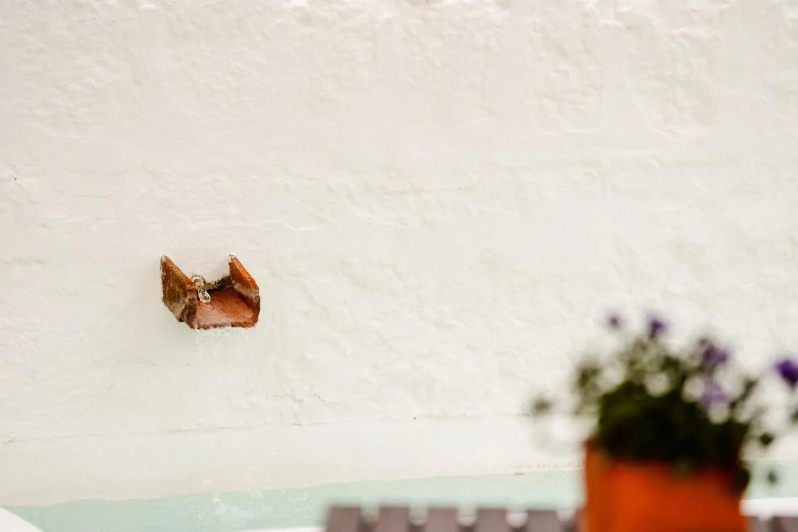 Off site in Hotel Rural Binigaus Vell