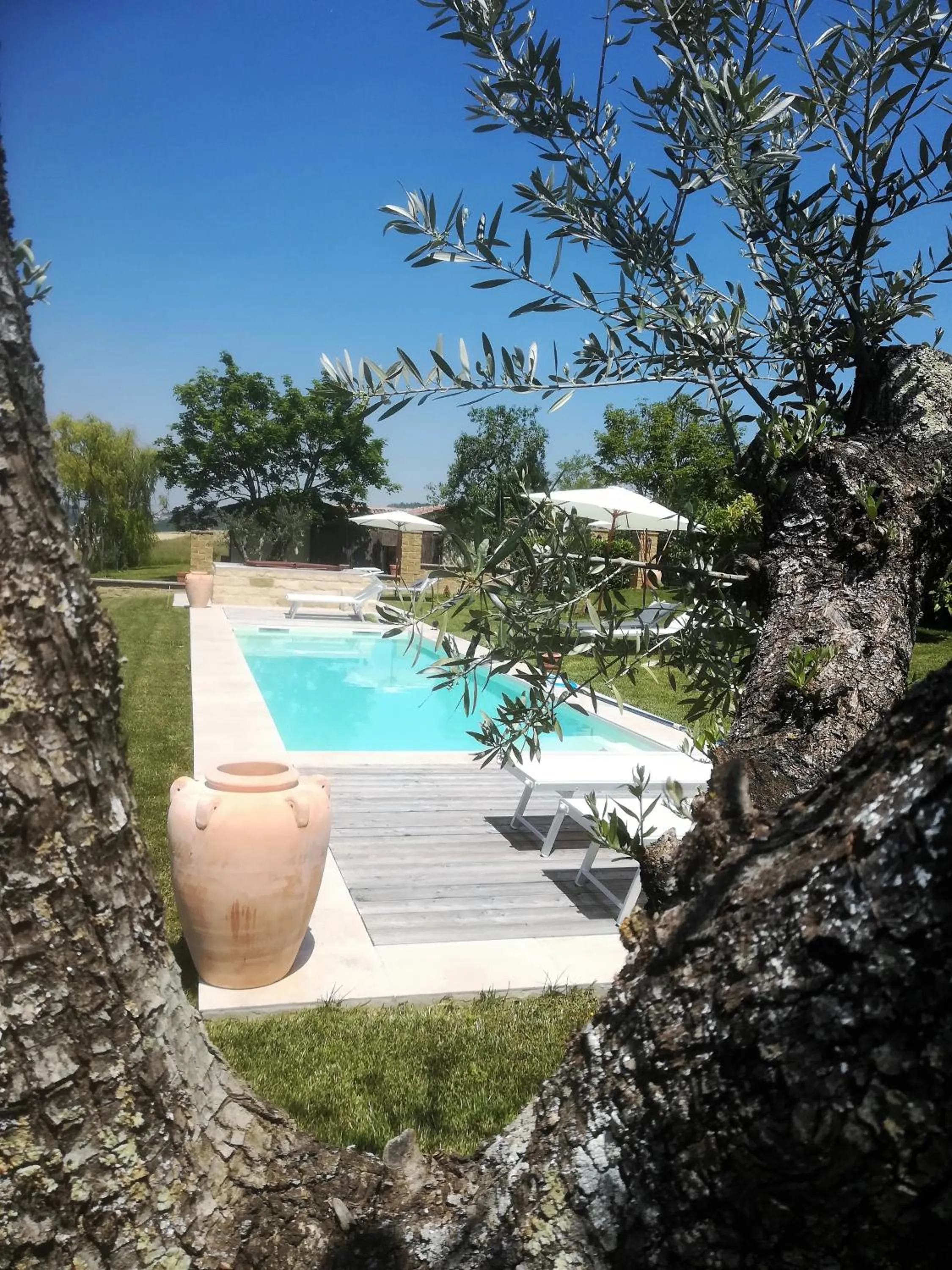 Swimming pool in Country House Montessino - adults only