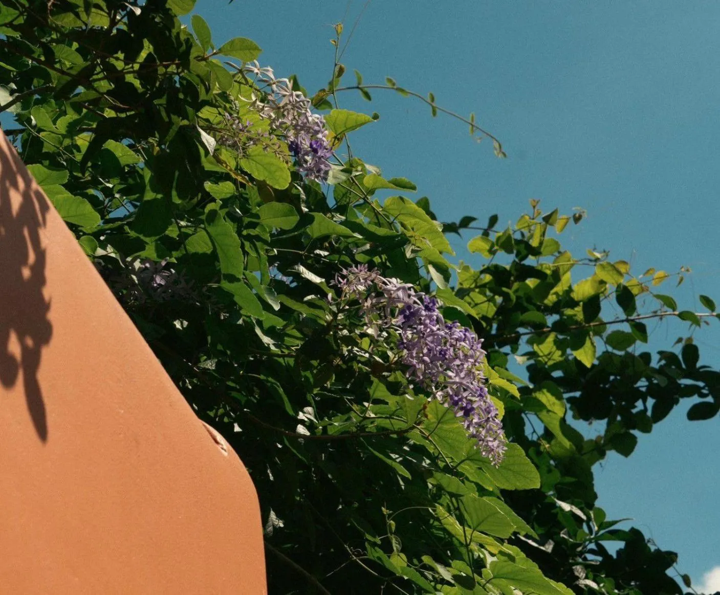 Property building in Baansuanprannok Hotel