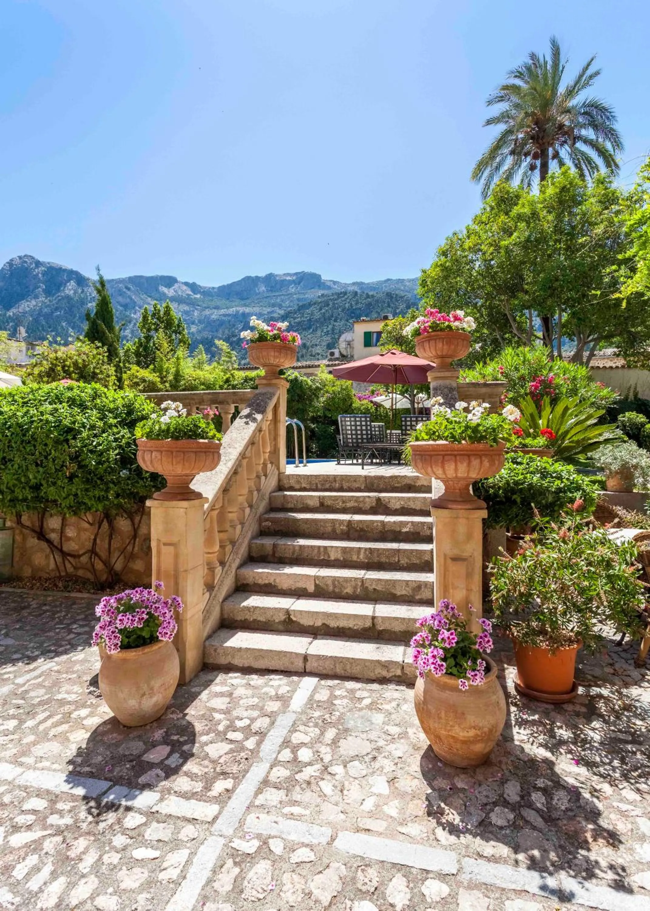 Garden in The Salvia - Adults Only