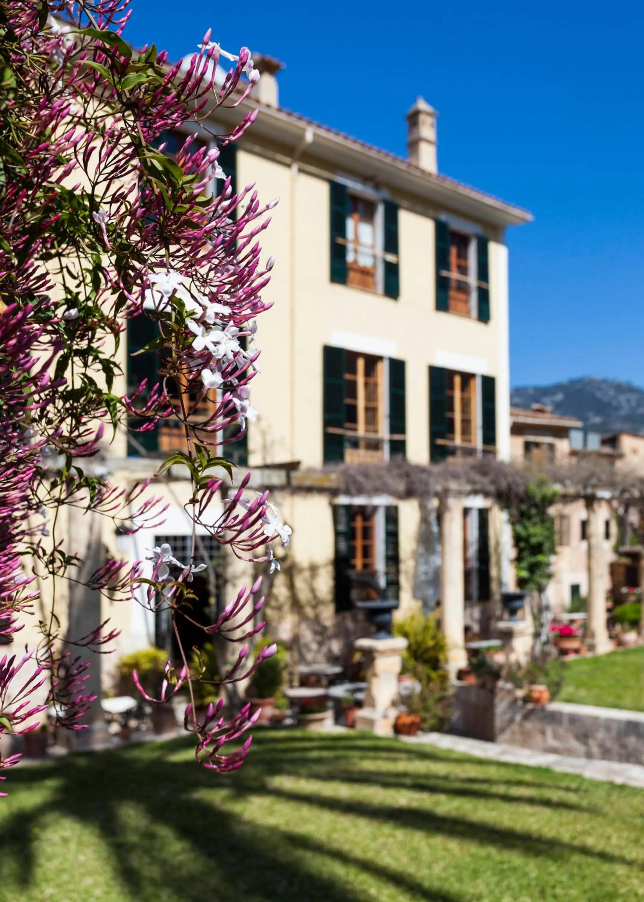 Garden in The Salvia - Adults Only