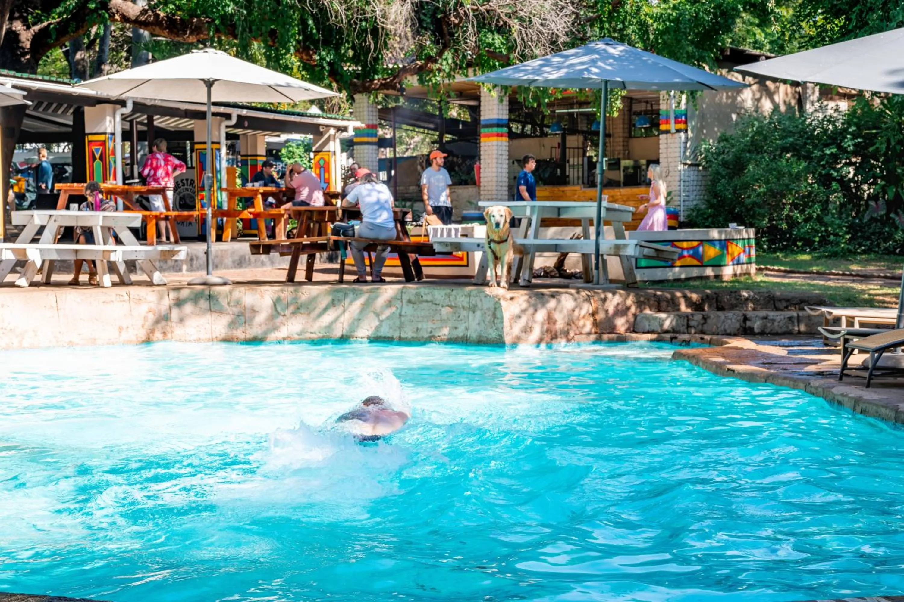 Swimming pool in Shoestrings Backpackers Lodge Vic Falls
