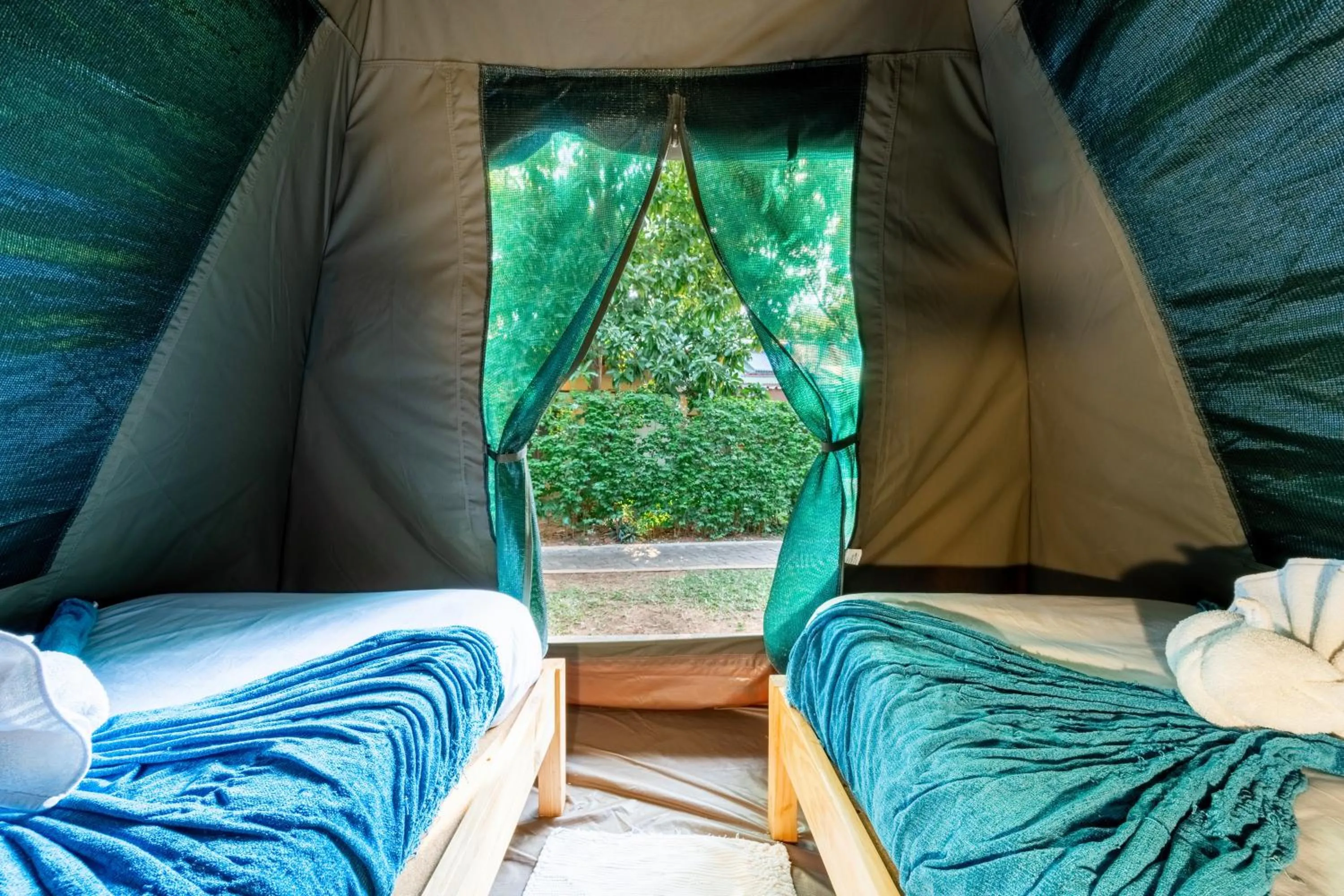 Bed in Shoestrings Backpackers Lodge Vic Falls