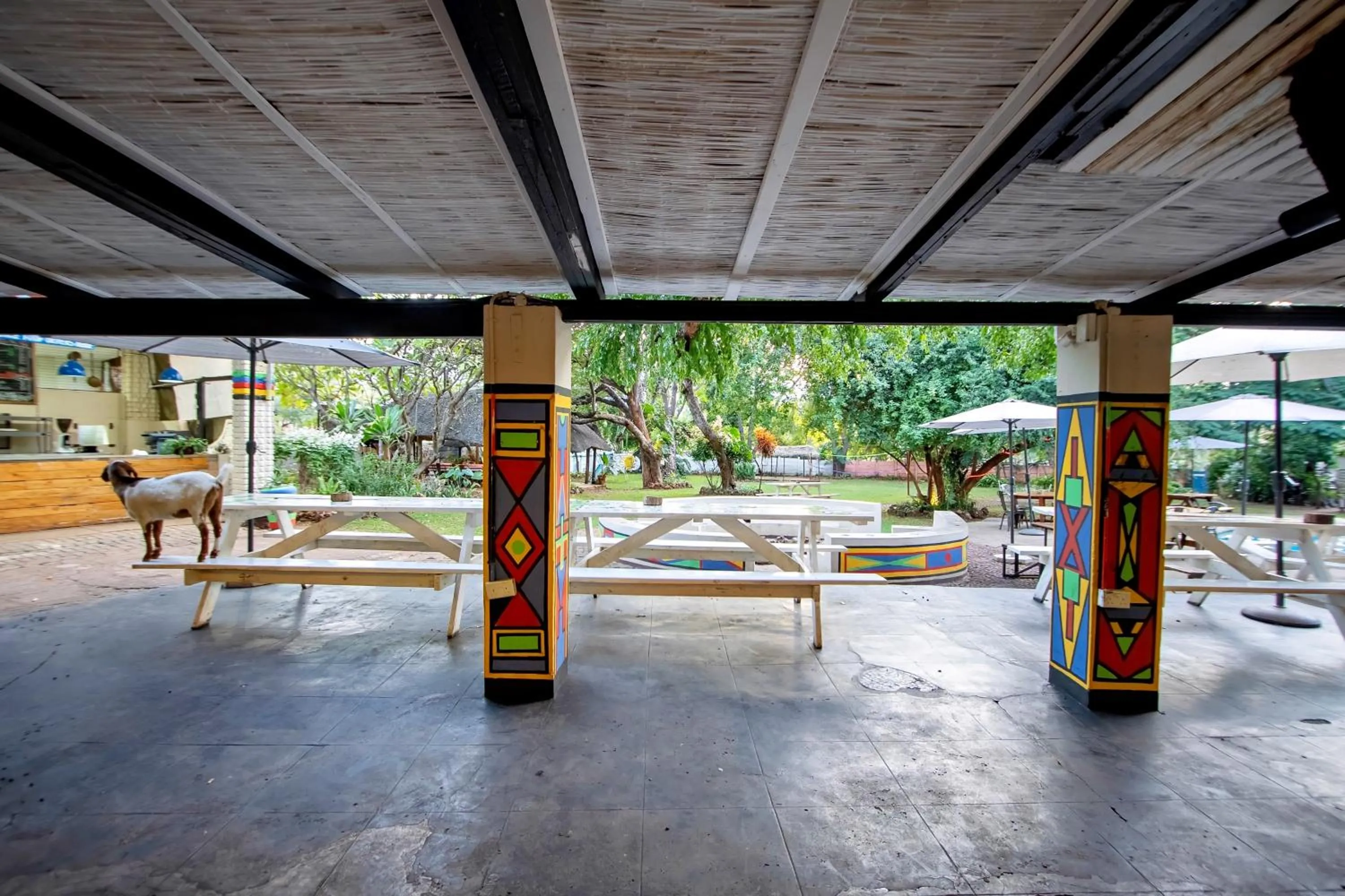 Property building in Shoestrings Backpackers Lodge Vic Falls