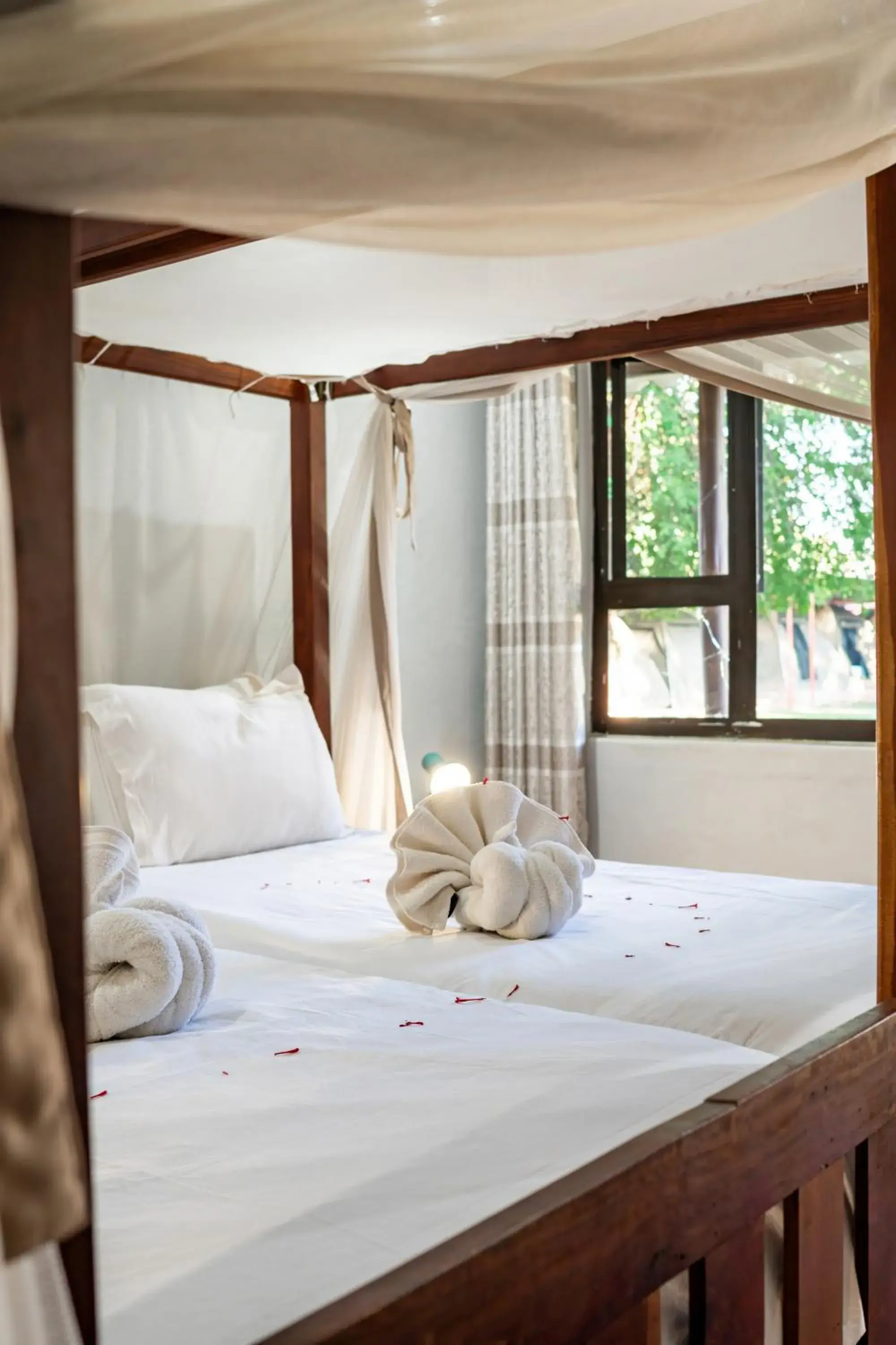 Double or Twin Room - single occupancy in Shoestrings Backpackers Lodge Vic Falls Double or Twin Room - single occupancy in Shoestrings Backpackers Lodge Vic Falls