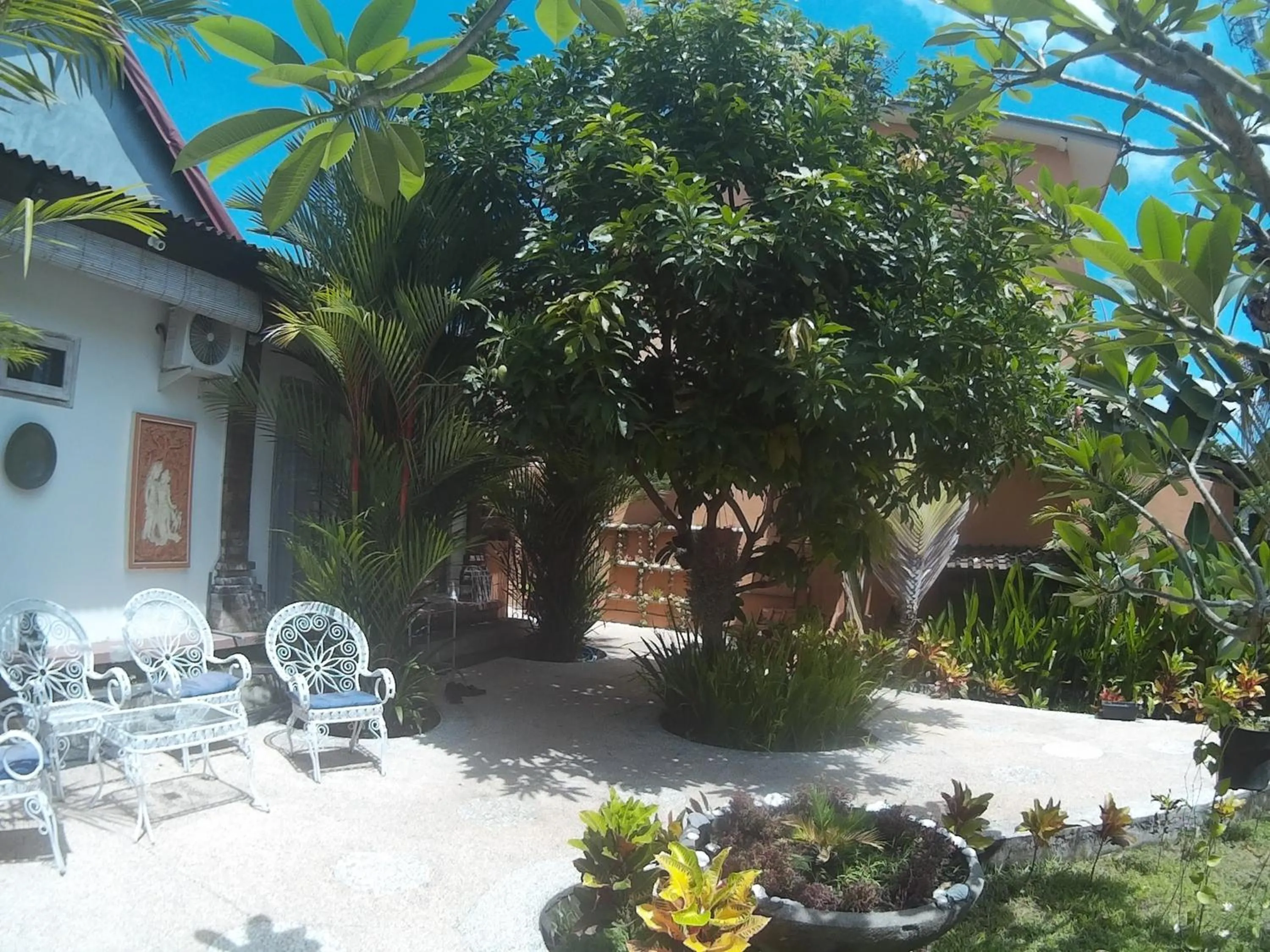 Garden view in Canggu Pinpoint Rooms