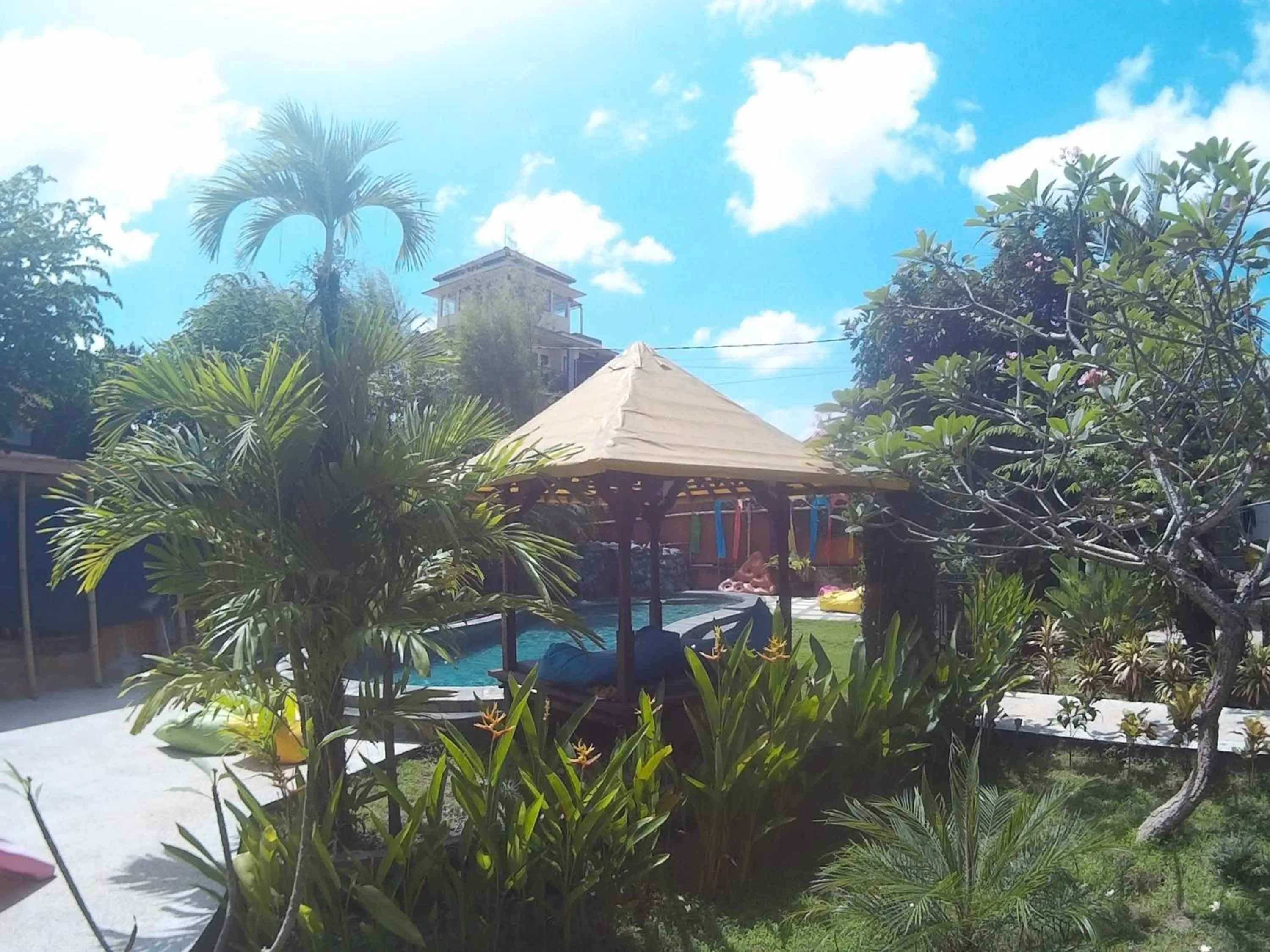 Pool view in Canggu Pinpoint Rooms