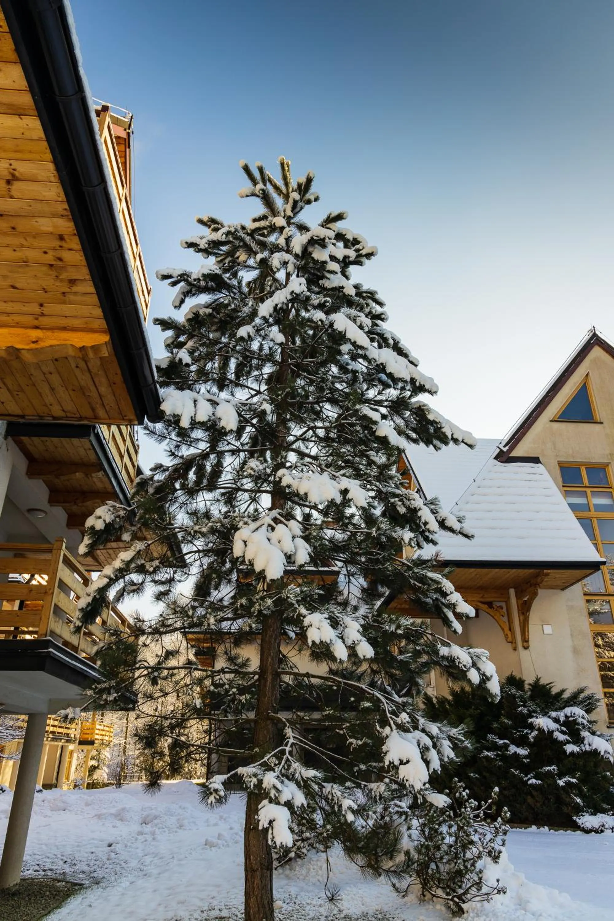 Property building in Aparthotel Bellamonte