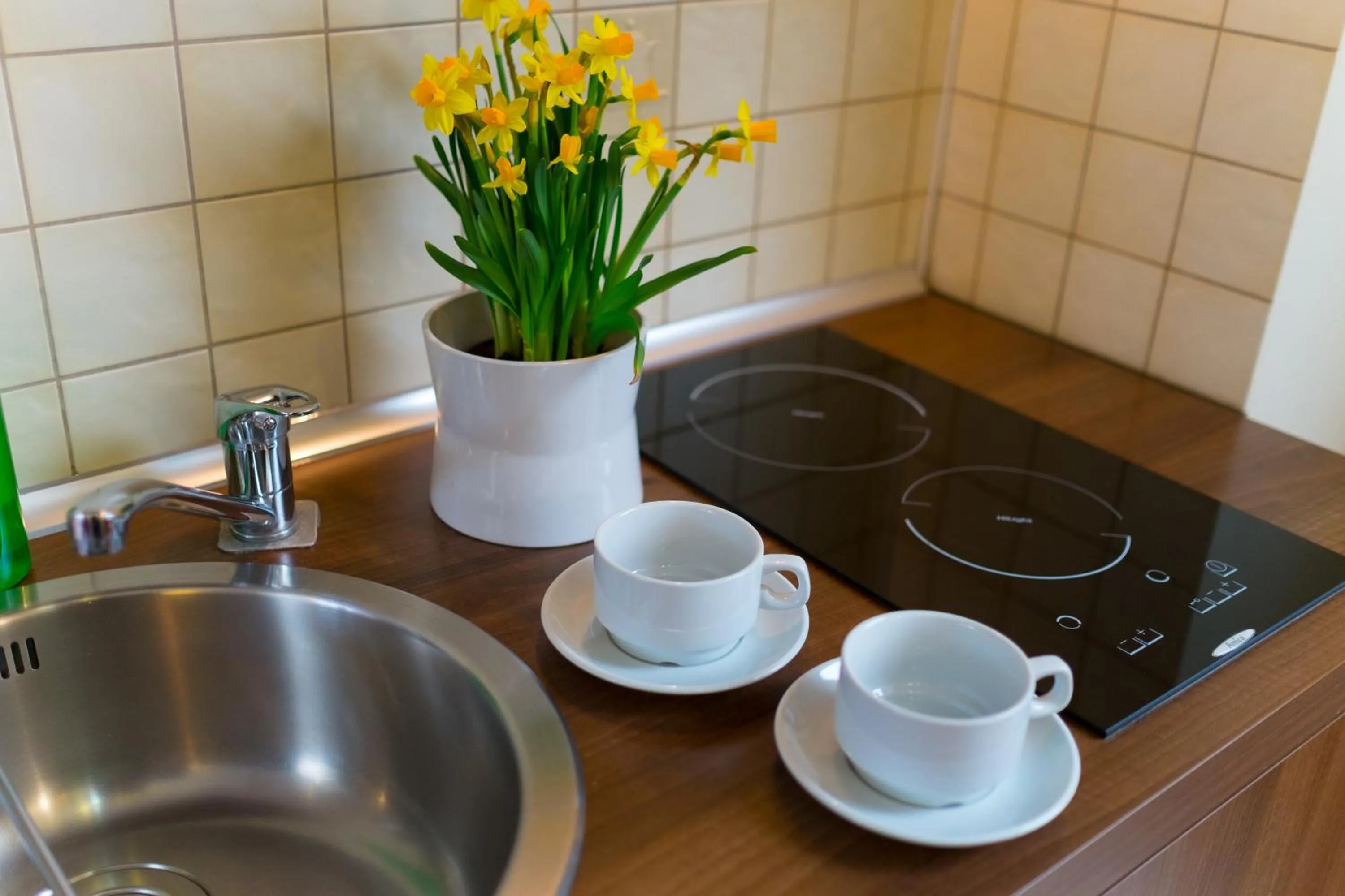 Kitchen or kitchenette in Aparthotel Bellamonte