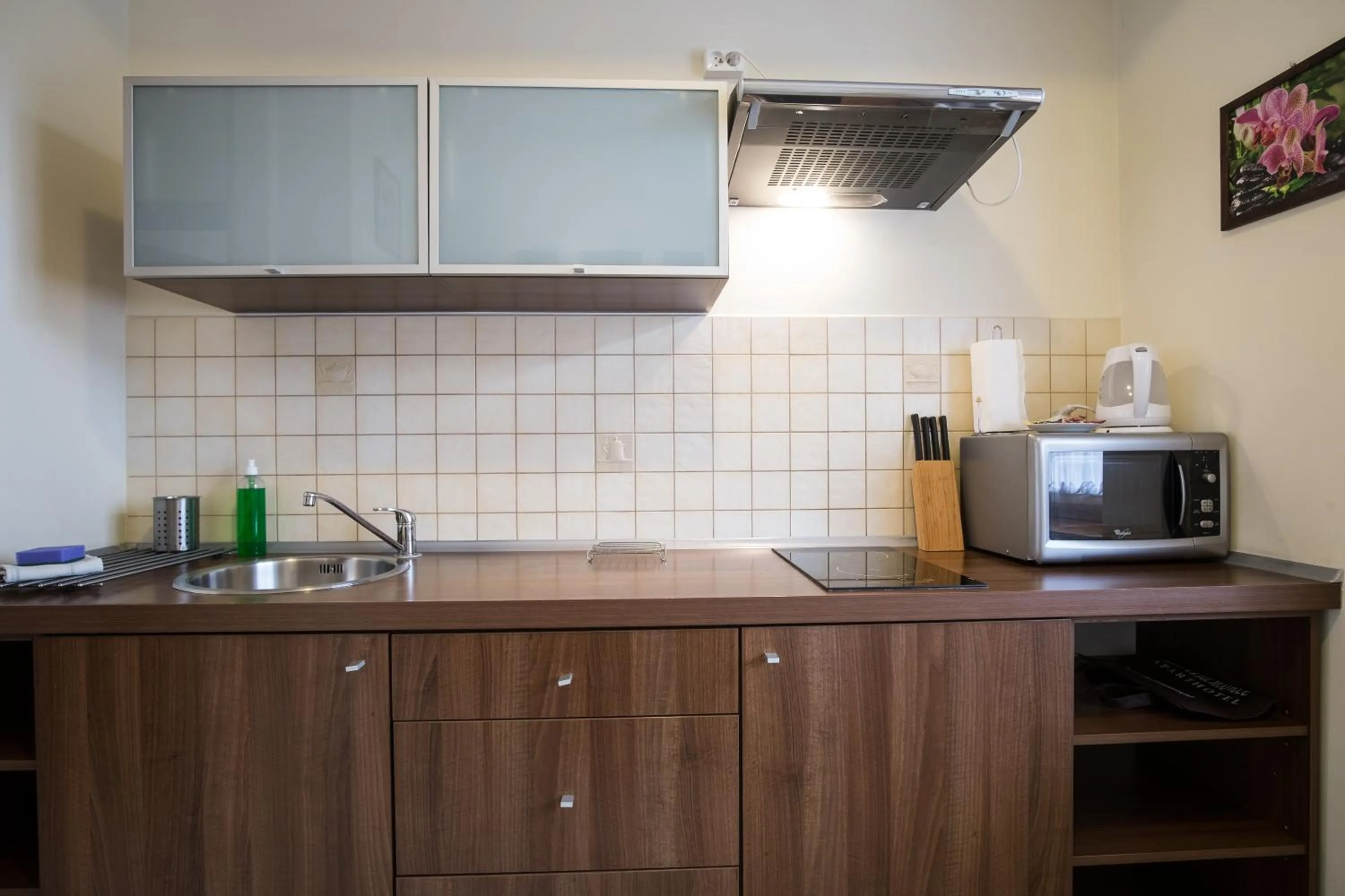 Kitchen or kitchenette in Aparthotel Bellamonte