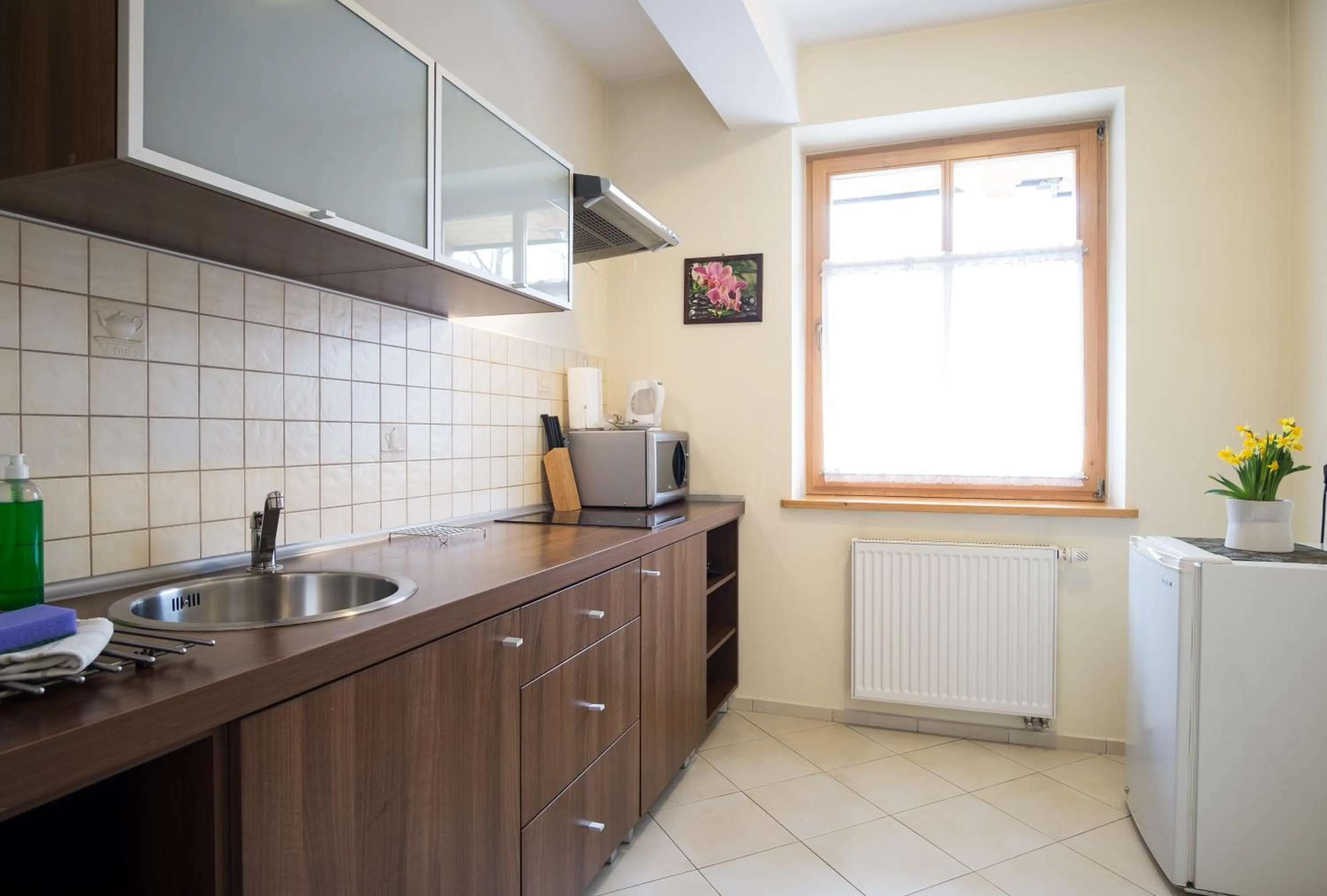 Kitchen or kitchenette in Aparthotel Bellamonte