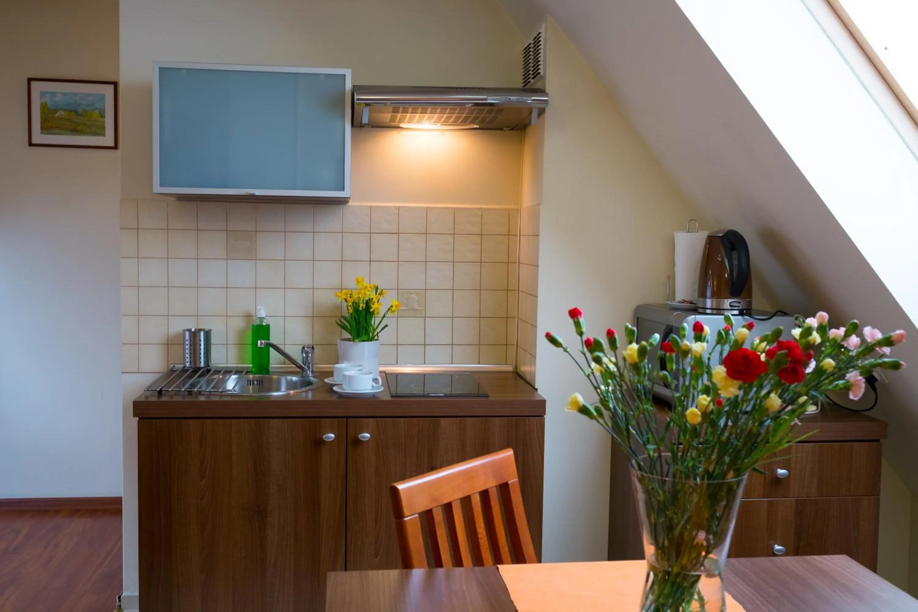 Kitchen or kitchenette in Aparthotel Bellamonte