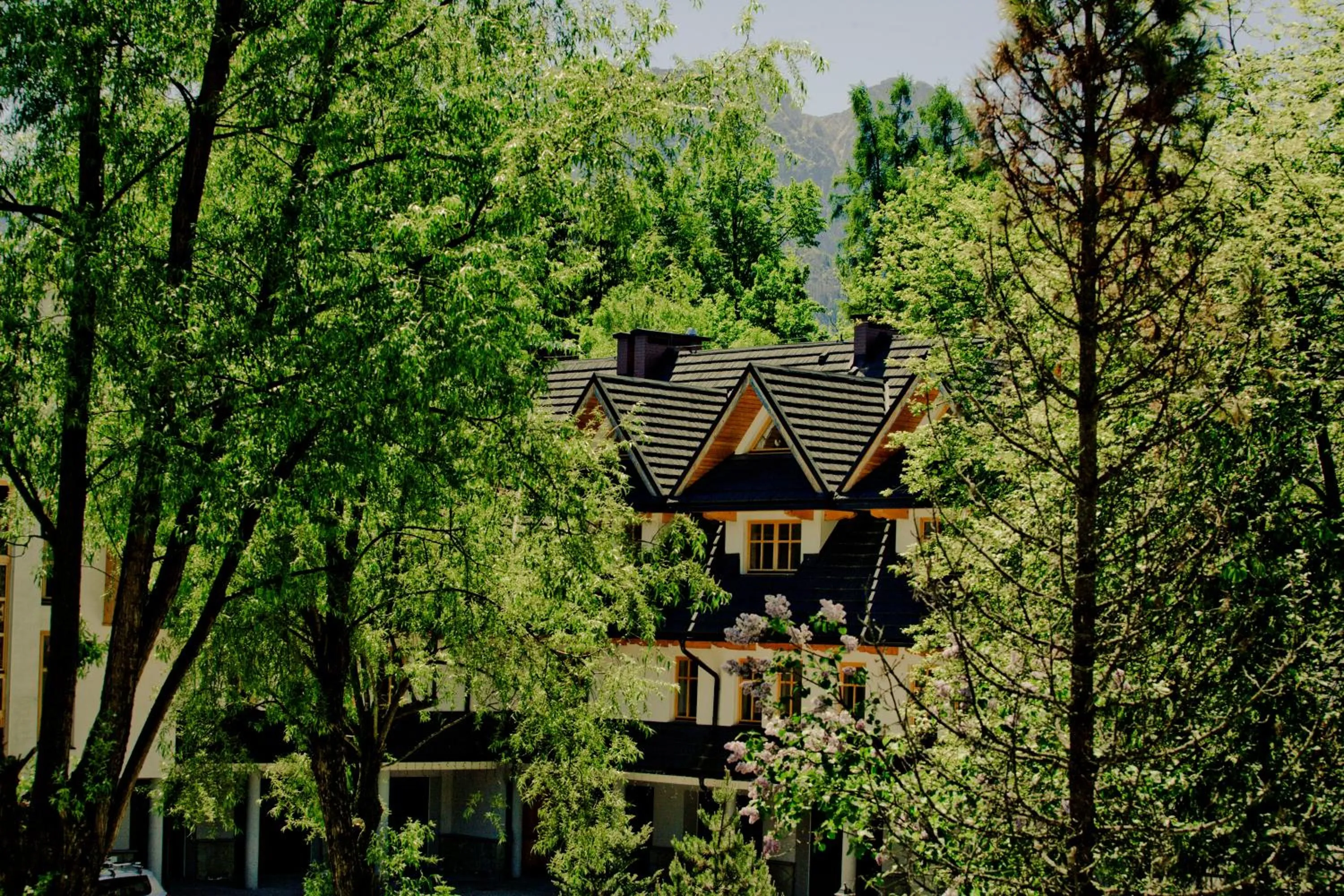 Facade/entrance in Aparthotel Bellamonte