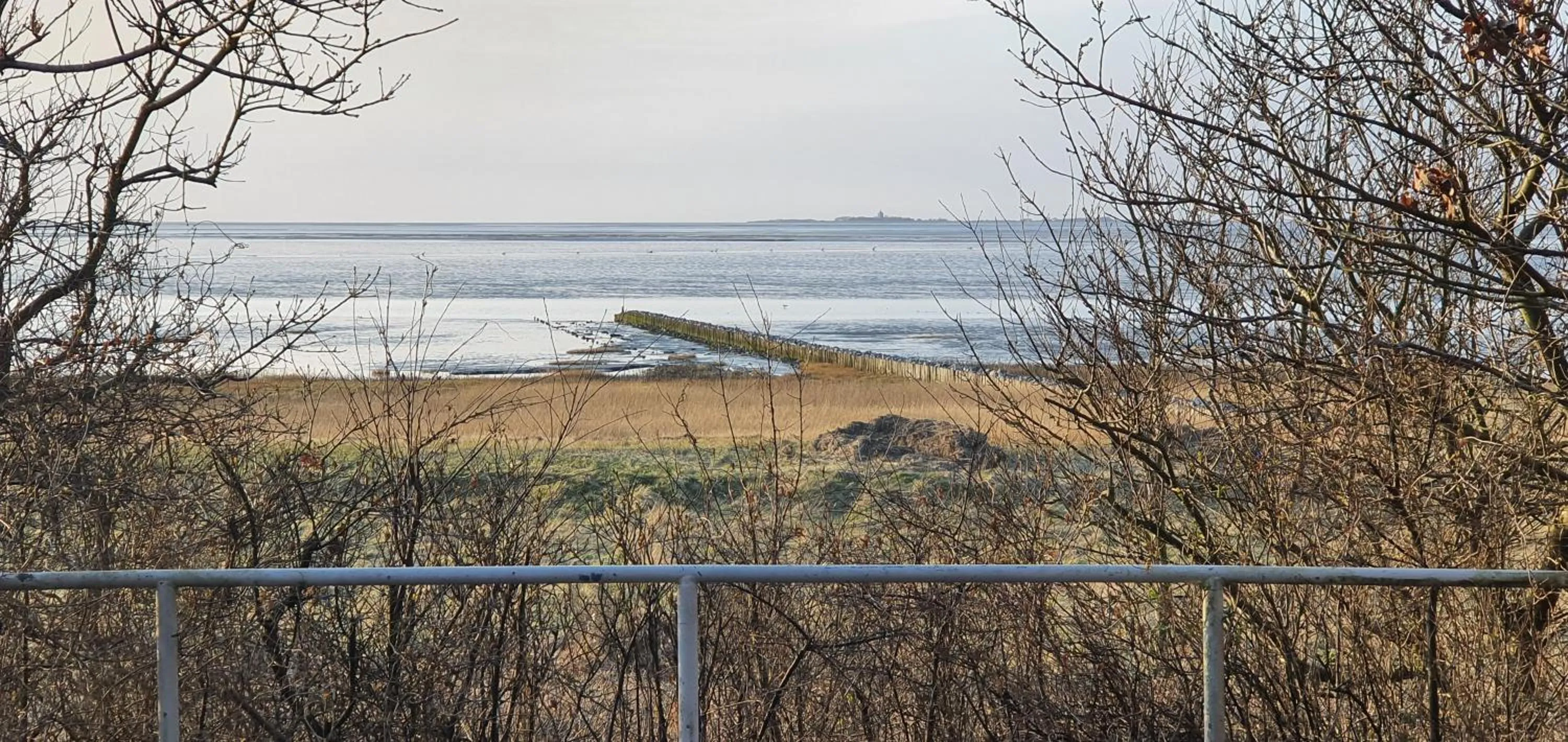 Beach in Hotel Seemeile