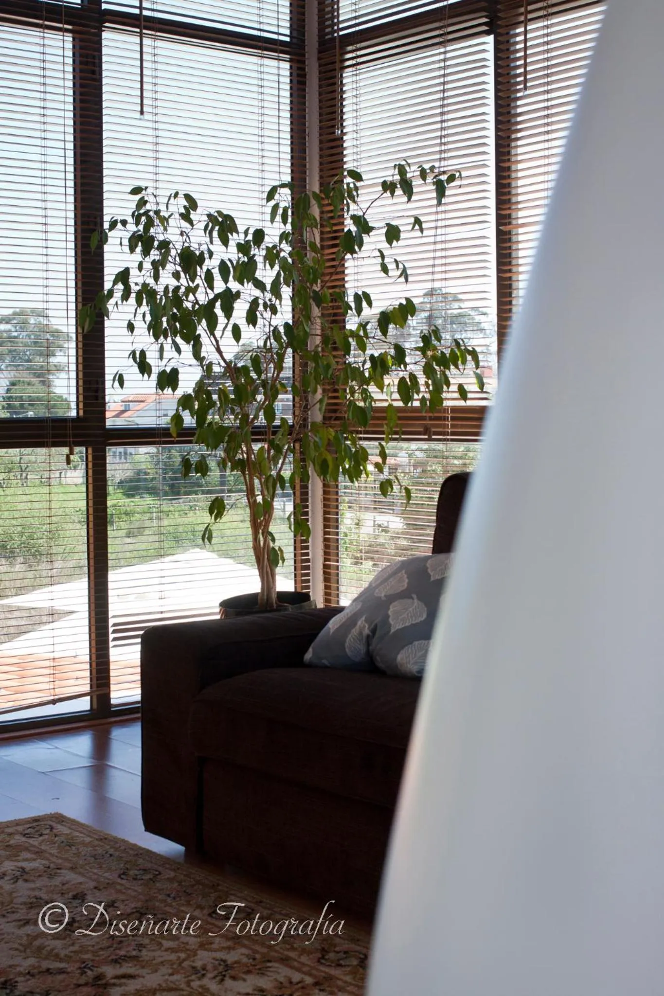 Day in Hotel La Isla