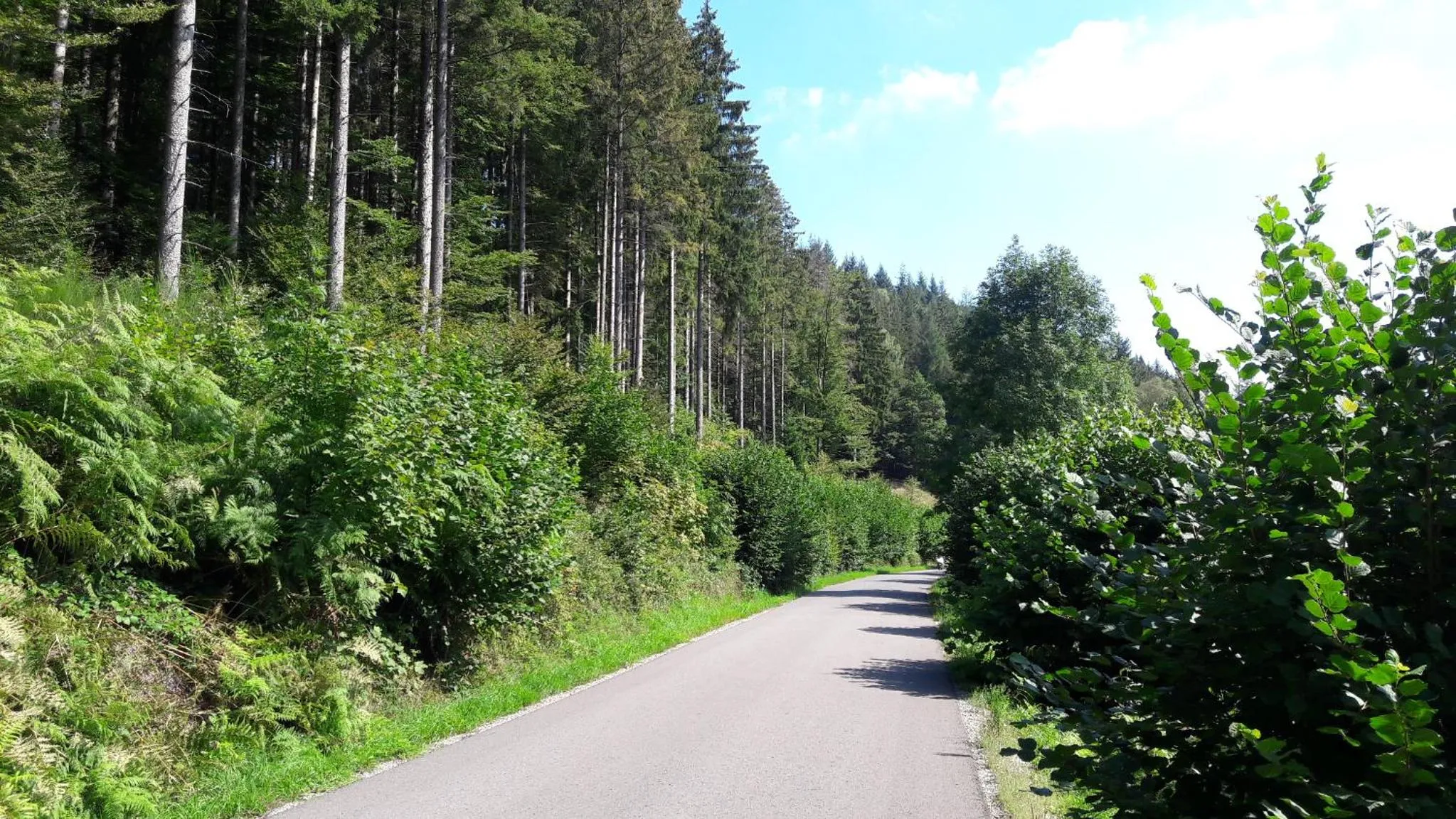 Nearby landmark in Nashira Kurpark Hotel