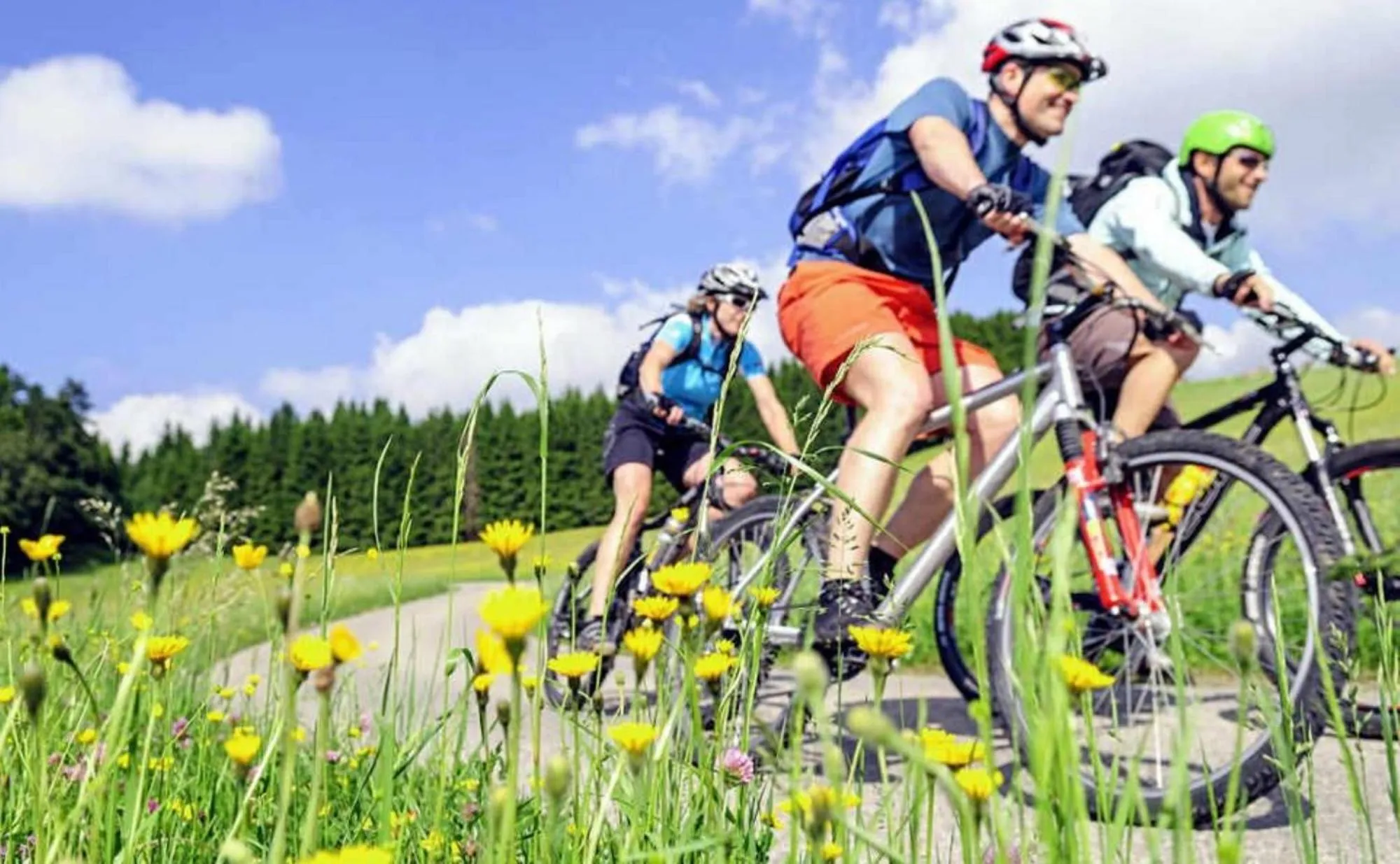 Cycling in Nashira Kurpark Hotel