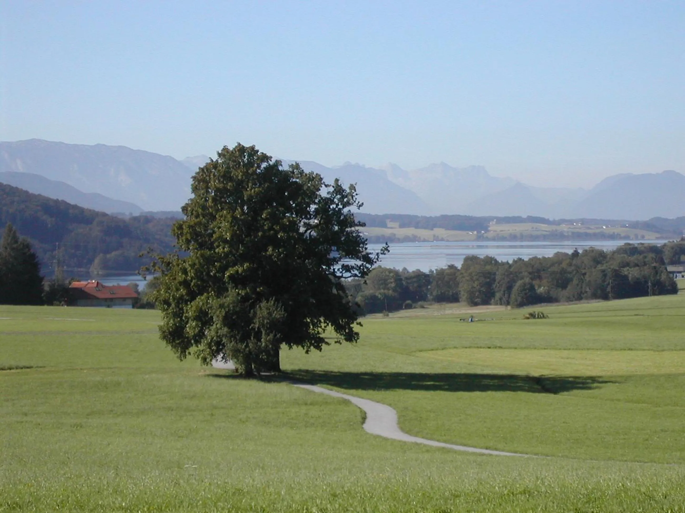 Area and facilities in Ferienhotel Herzog