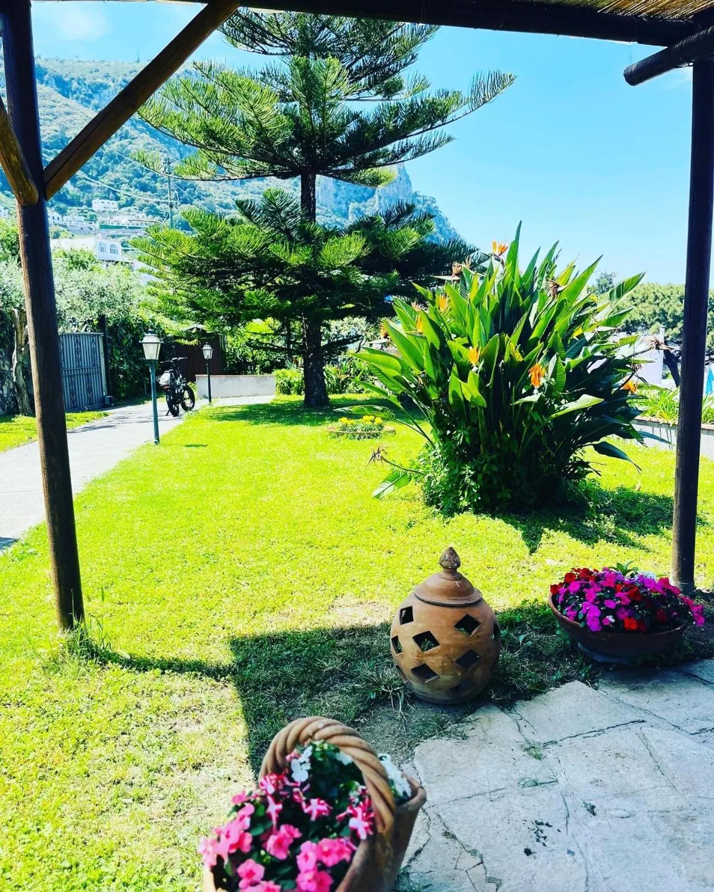 Natural landscape in B&B L'Agapanto