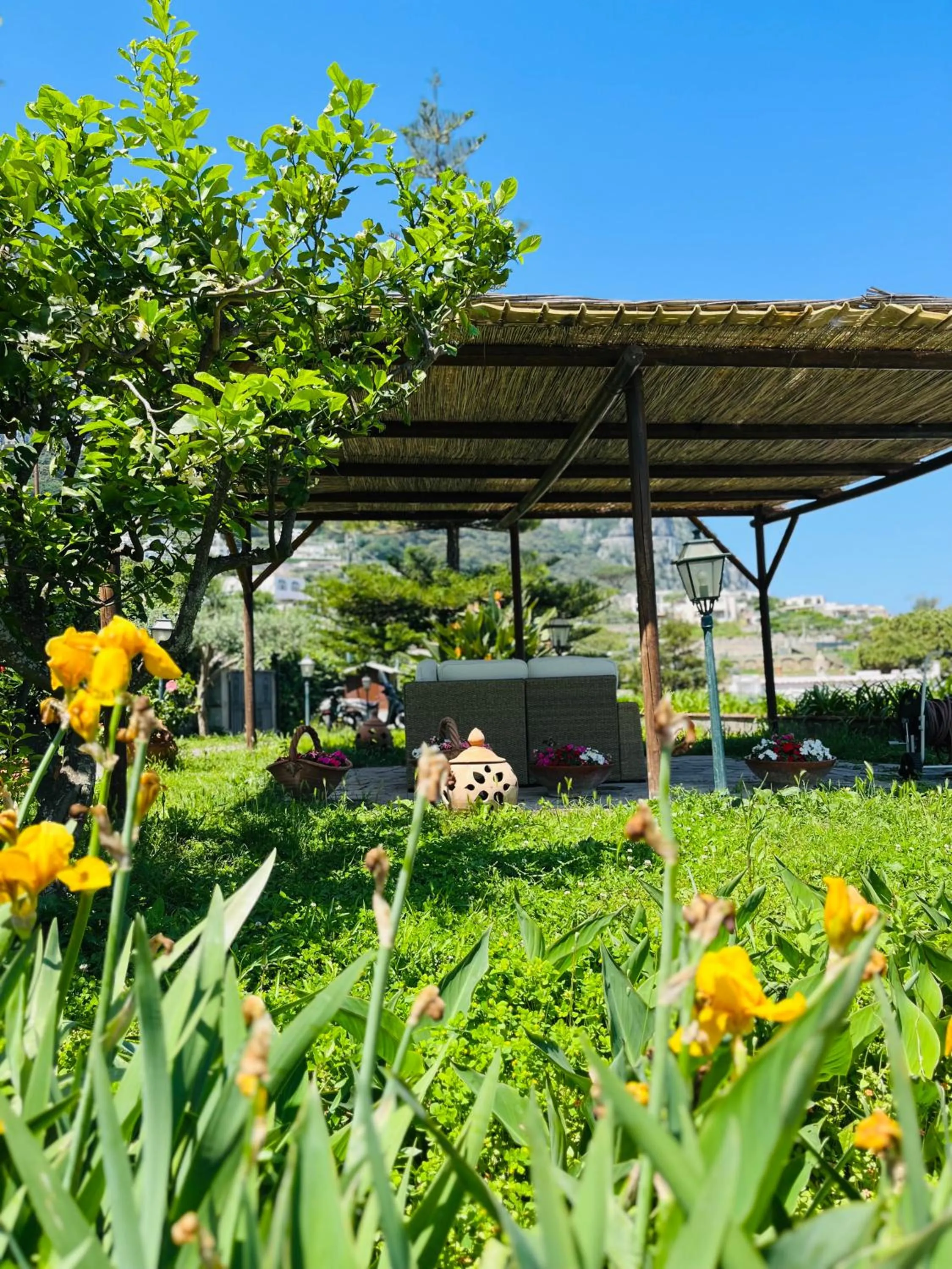 Patio in B&B L'Agapanto