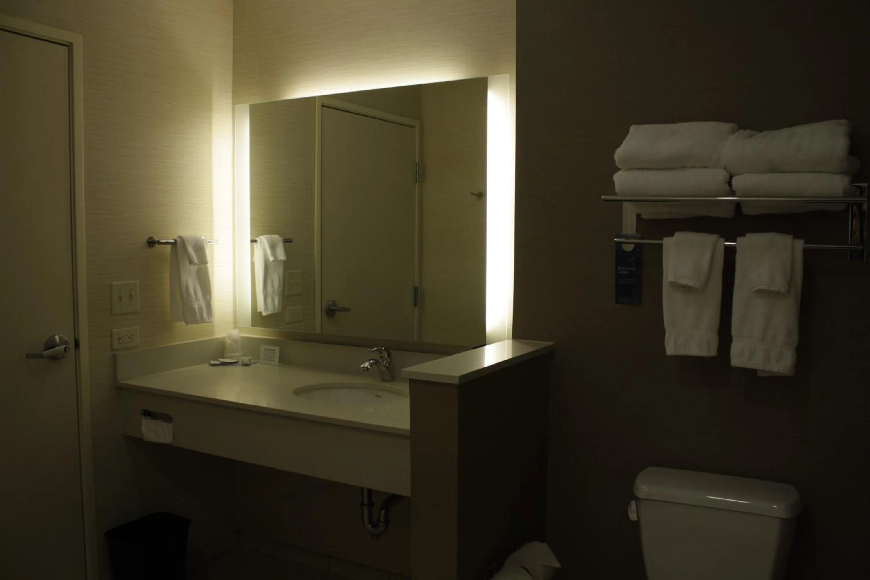 Toilet in Fairfield Inn & Suites by Marriott Detroit Lakes
