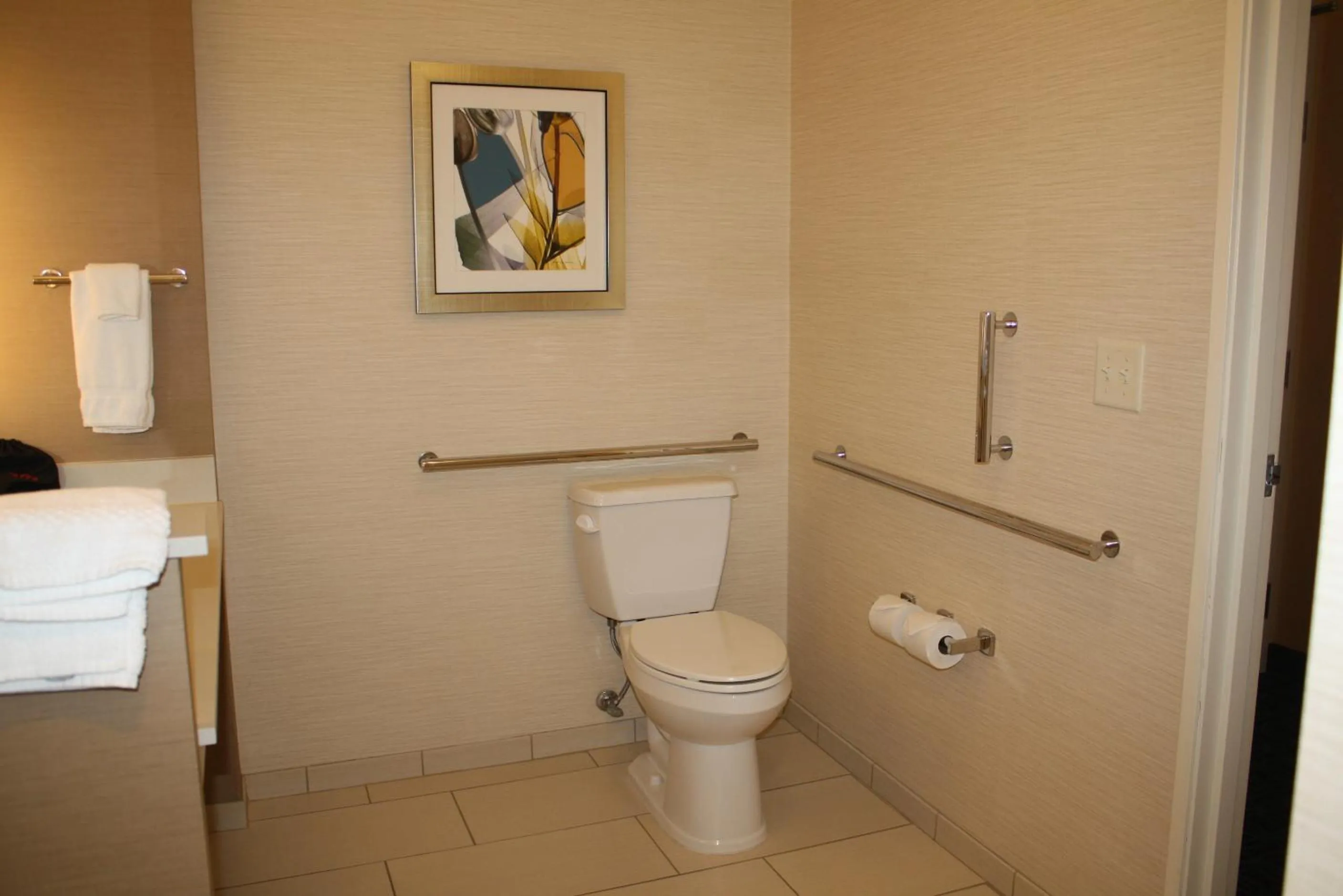 Toilet in Fairfield Inn & Suites by Marriott Detroit Lakes