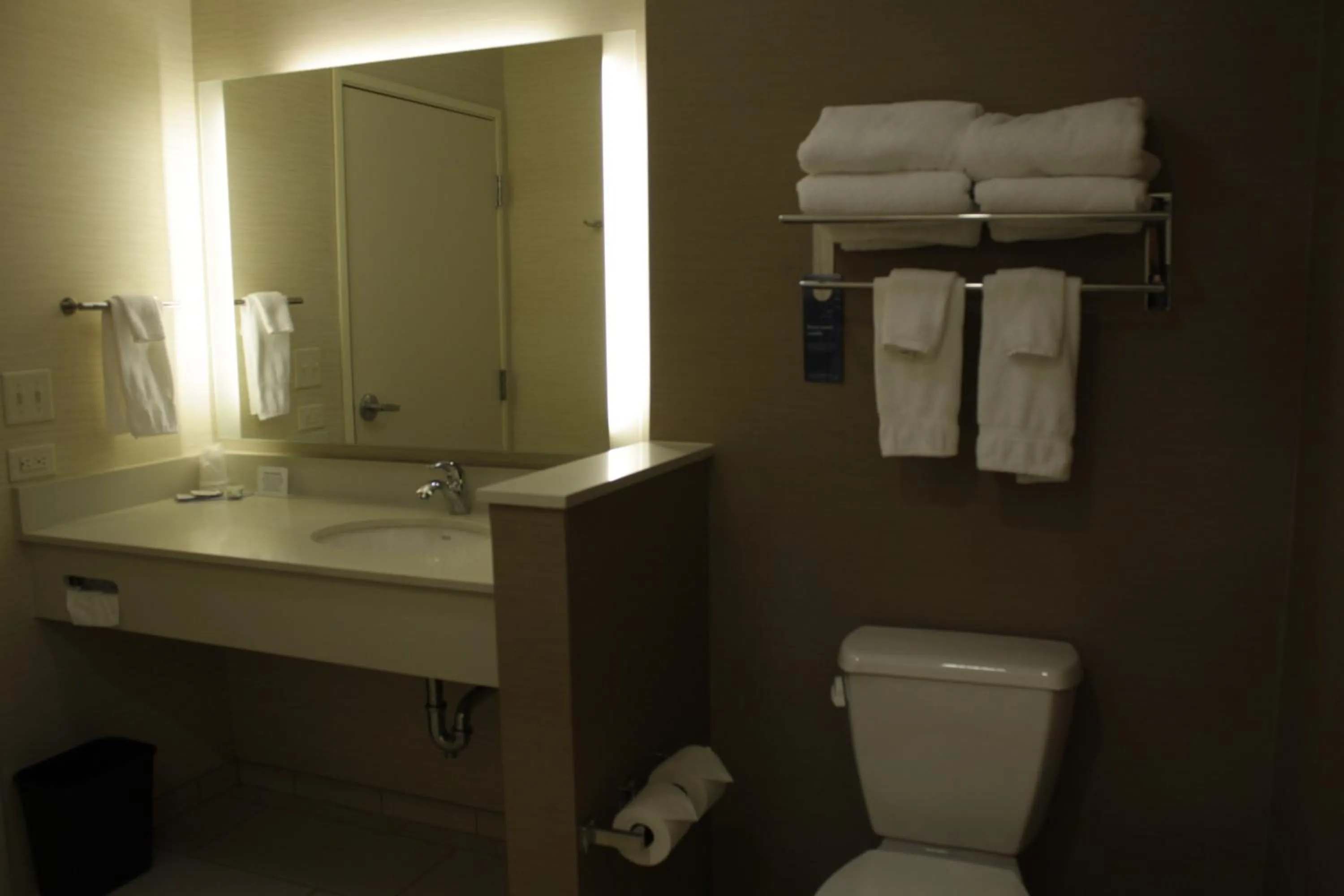 Toilet in Fairfield Inn & Suites by Marriott Detroit Lakes