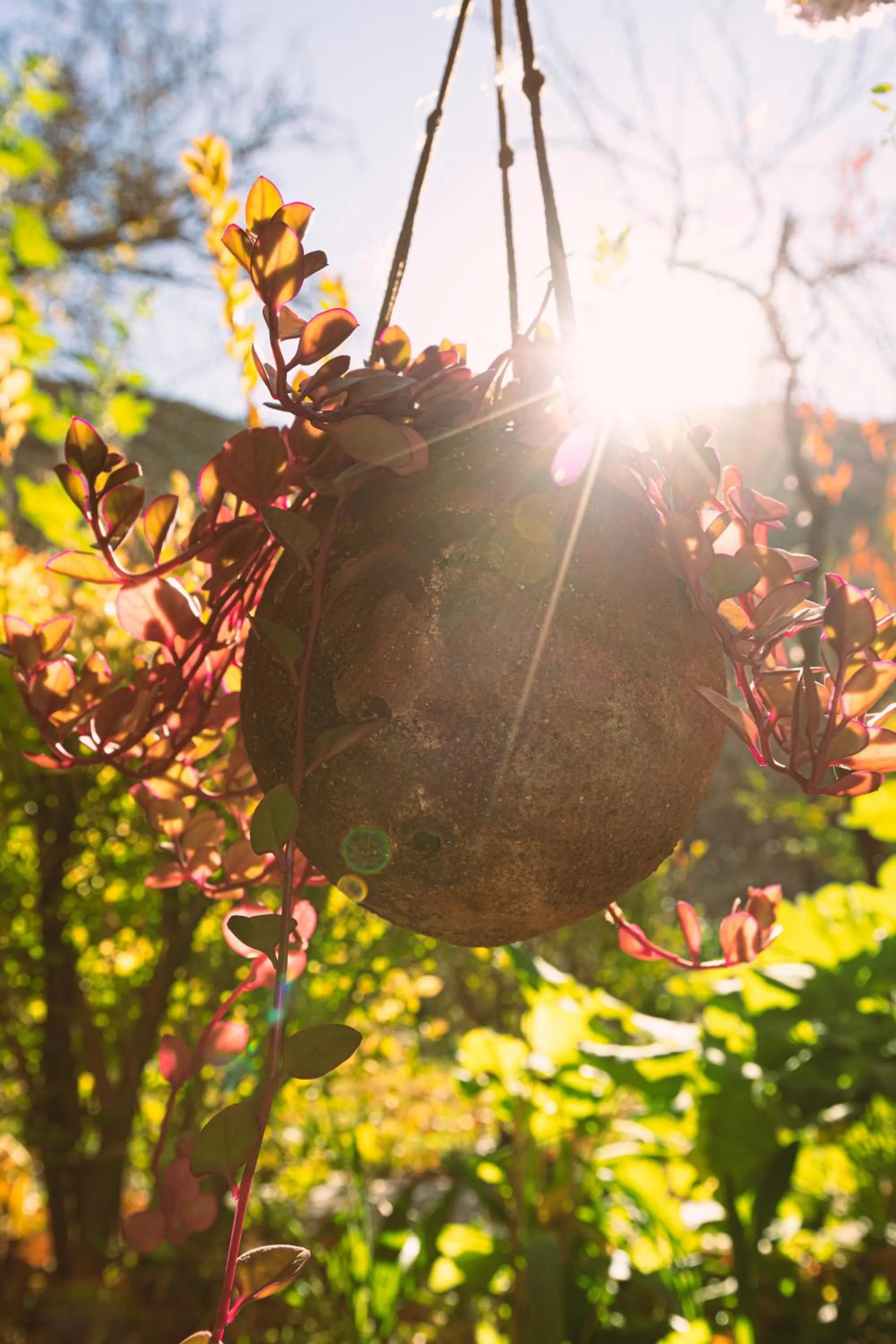 Spring in Casona El Resguardo