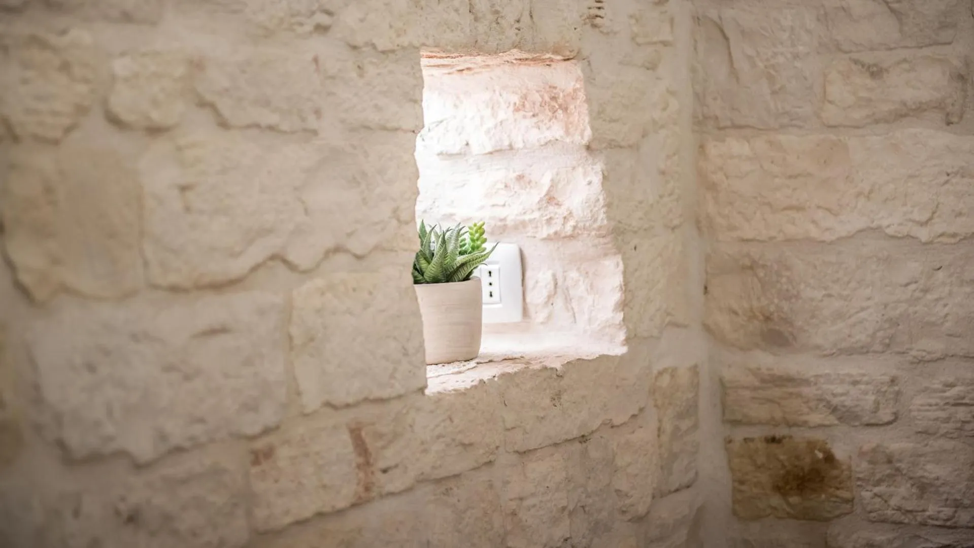 Photo of the whole room in Astra