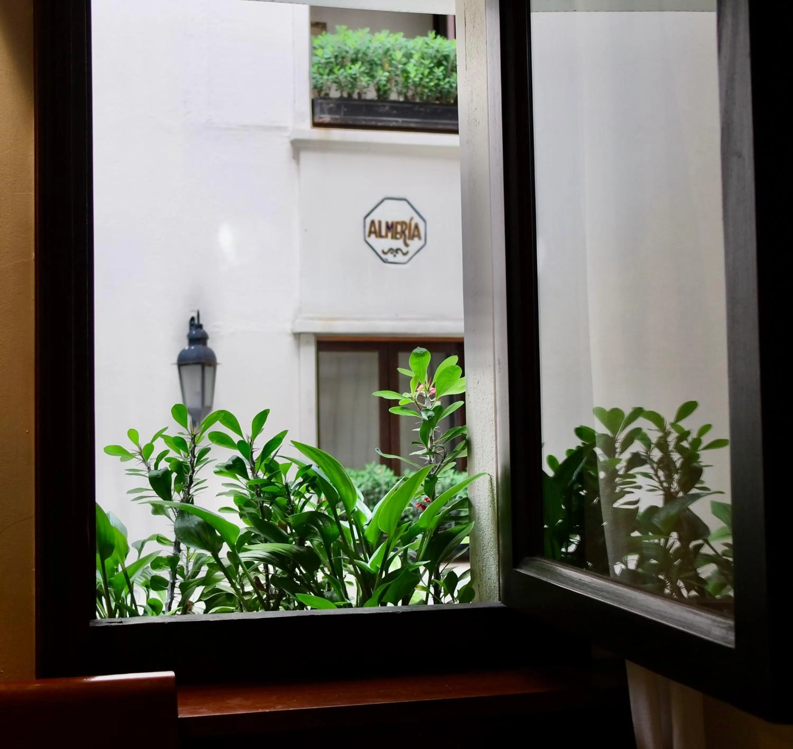 Garden view in Hotel Almería