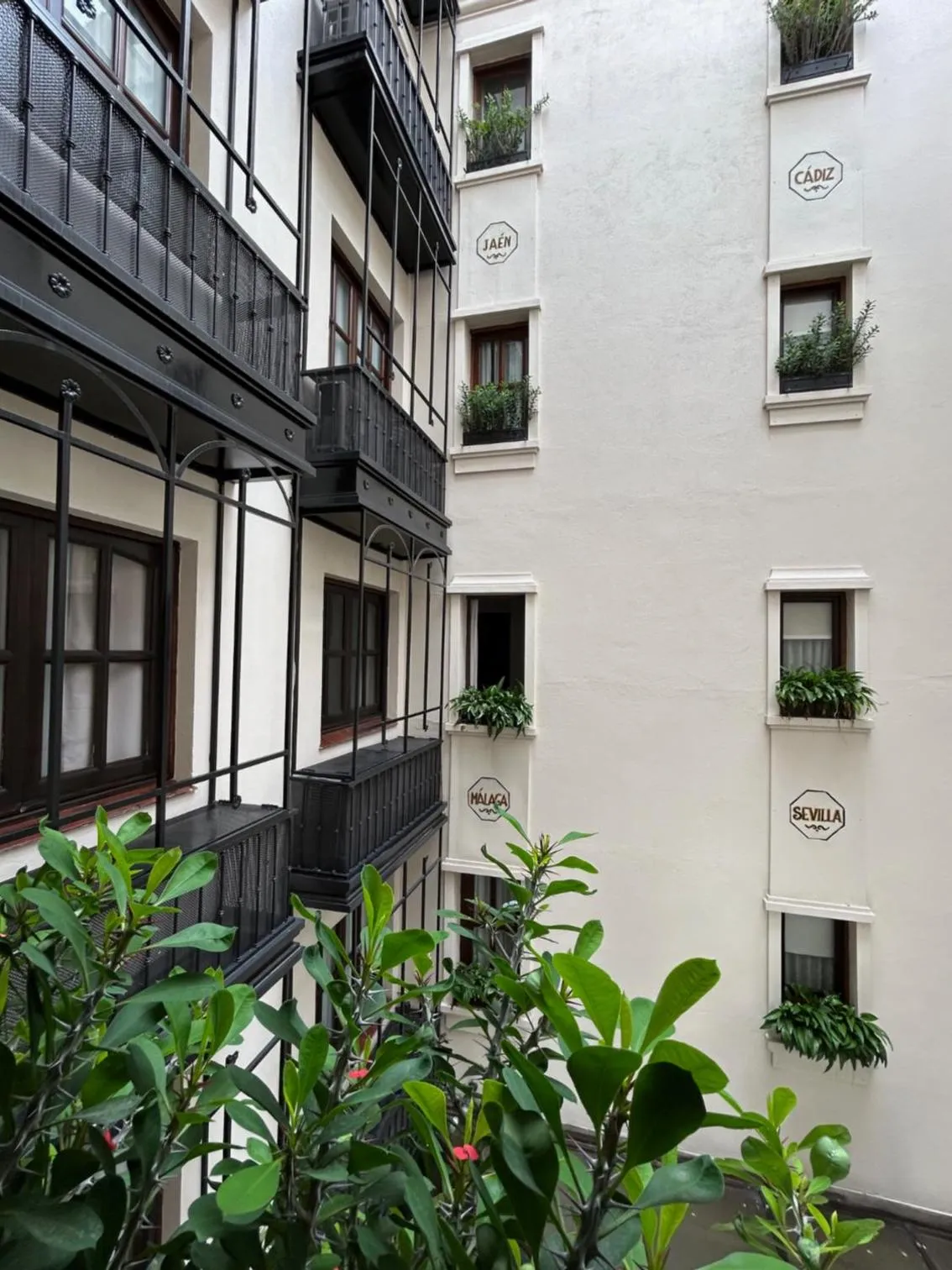 Garden view in Hotel Almería