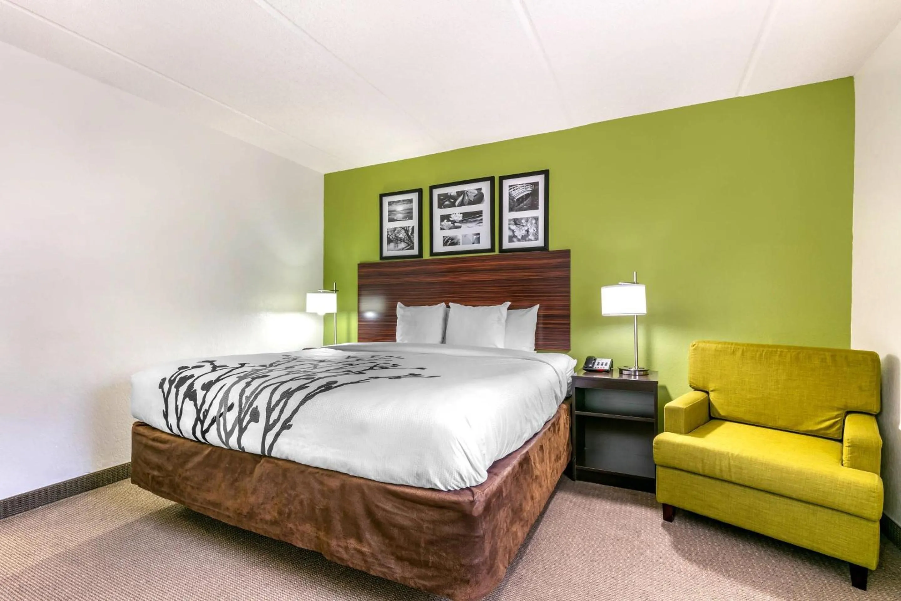 Bedroom, Bed in Sleep Inn & Suites near Sports World Blvd
