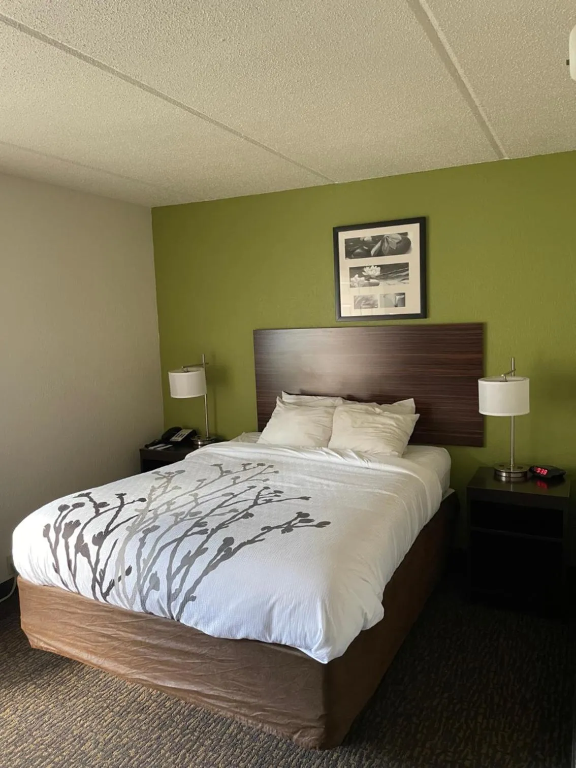 Bedroom, Bed in Sleep Inn & Suites near Sports World Blvd